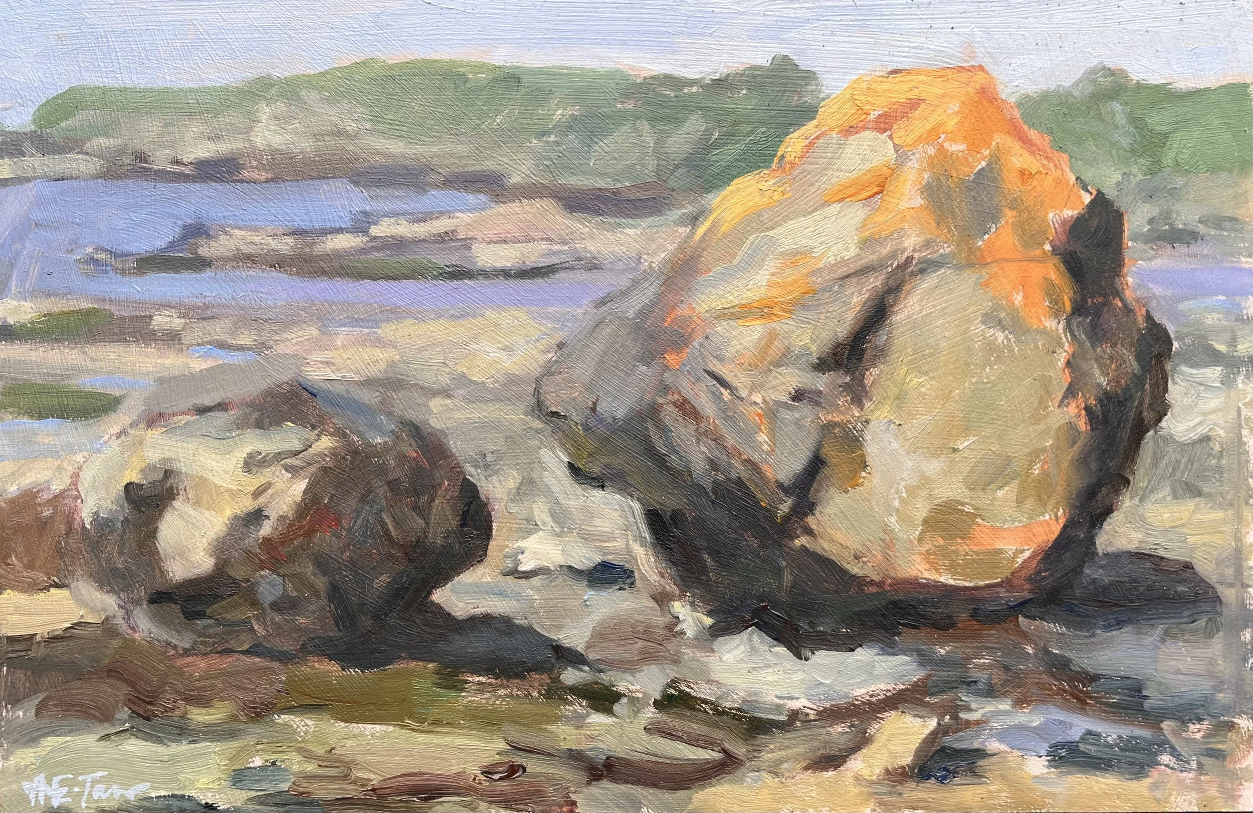 Rocks and Seaweed At Cemaes Bay, Anglesey