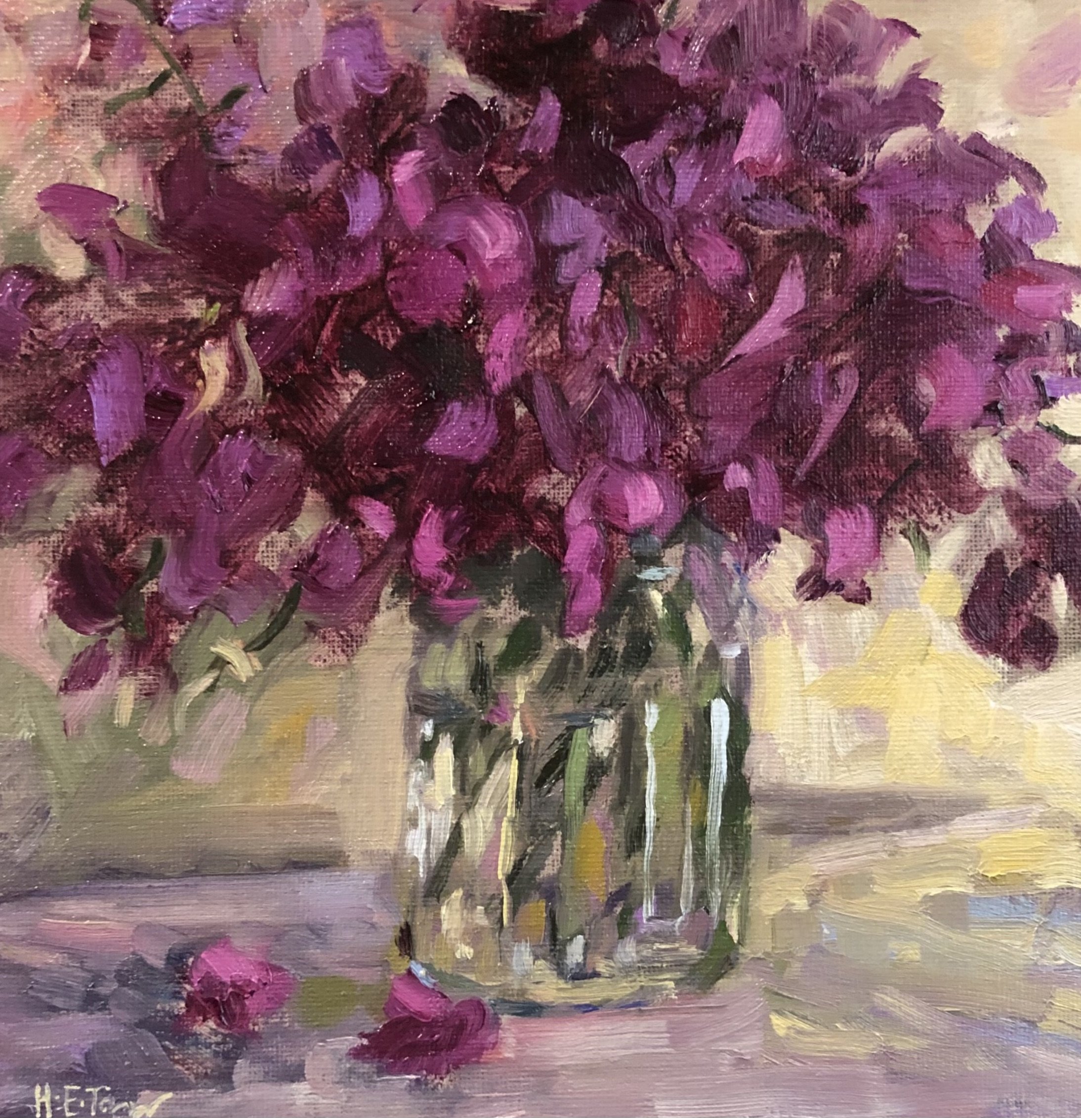 Everlasting Sweetpeas