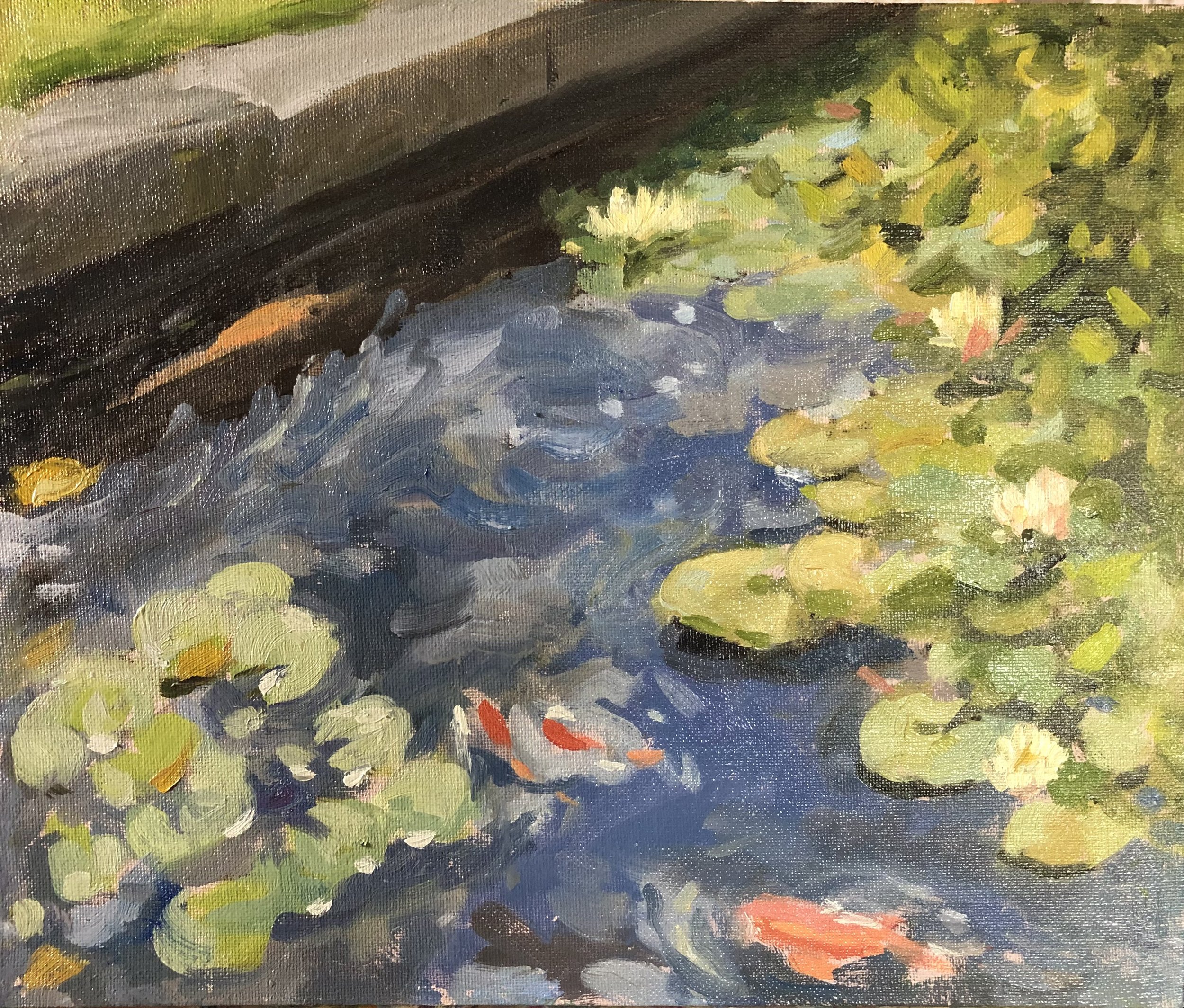The Lily Pond at Renishaw Hall