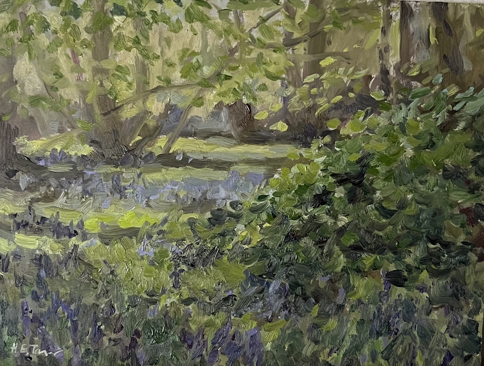 The First Bluebells