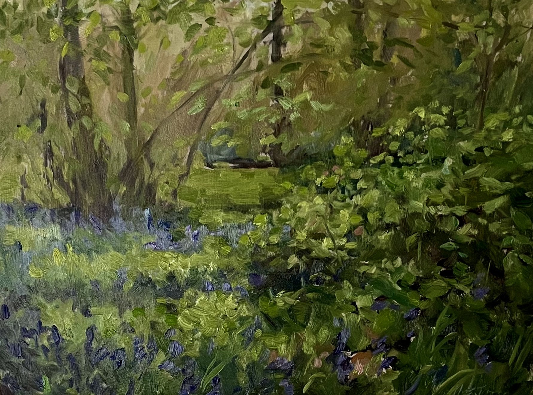 Bluebells in Dappled Sun