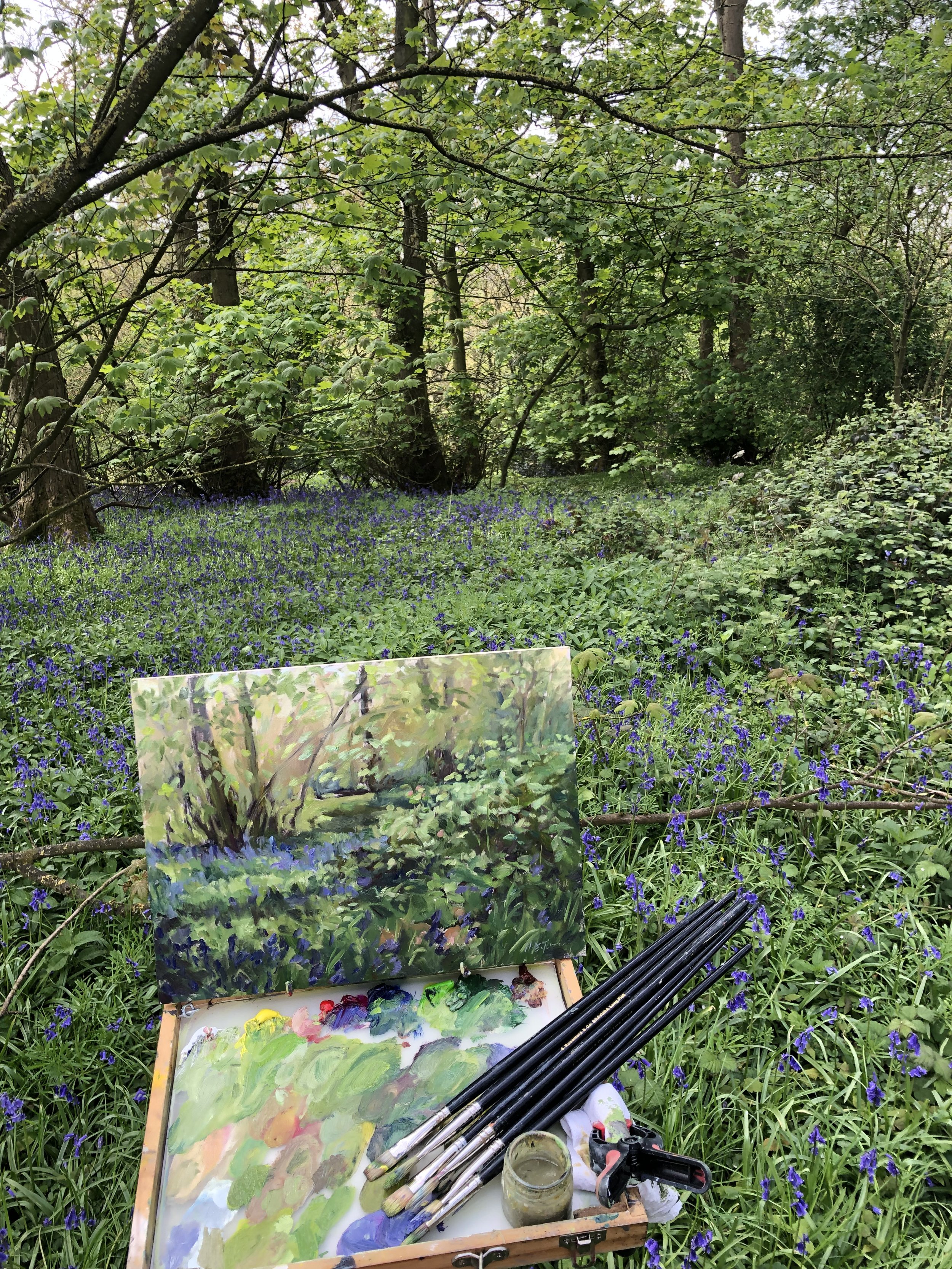 Sunlit Bluebellskit .jpeg