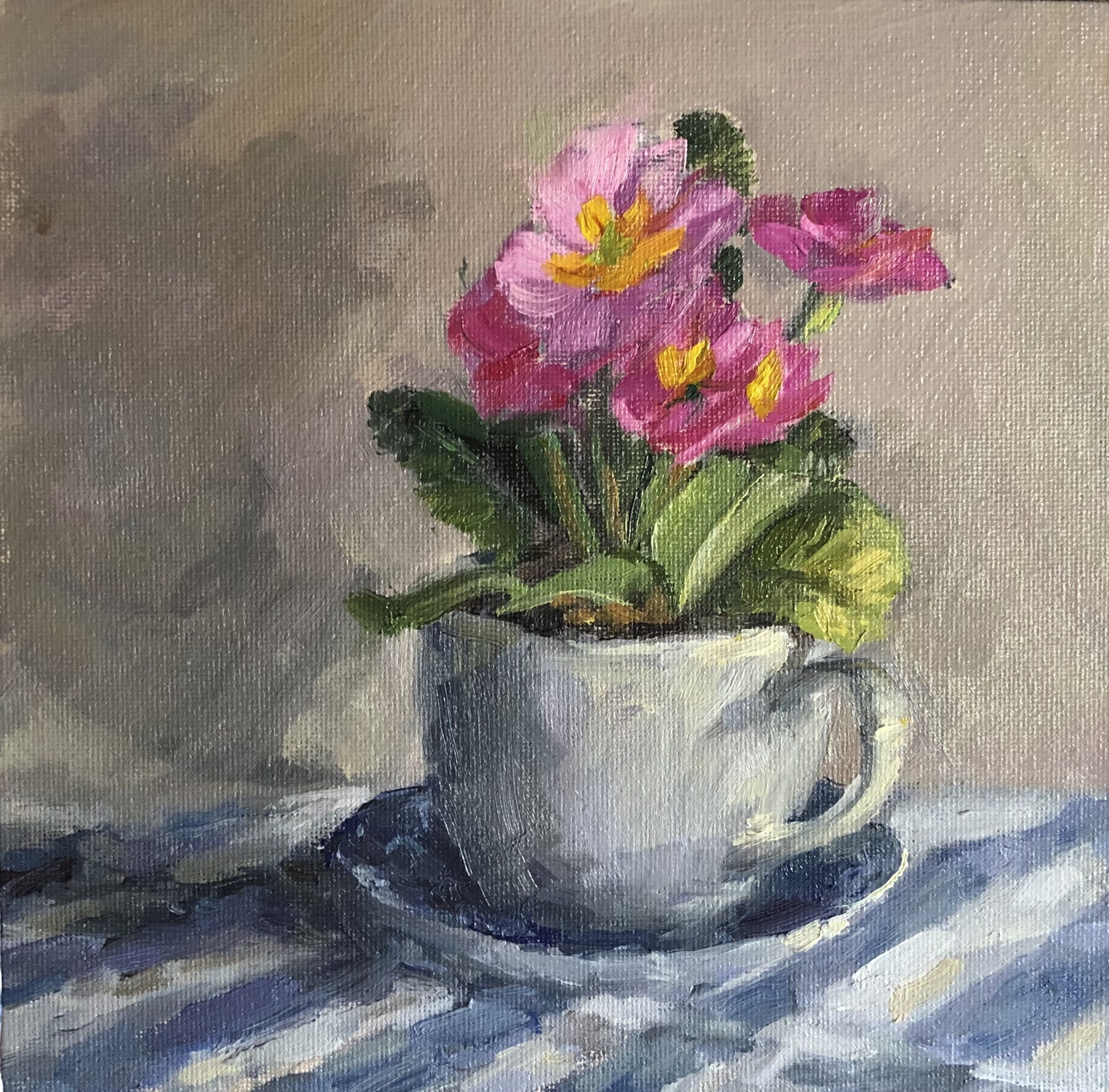 Pink Primroses in a Tea Cup