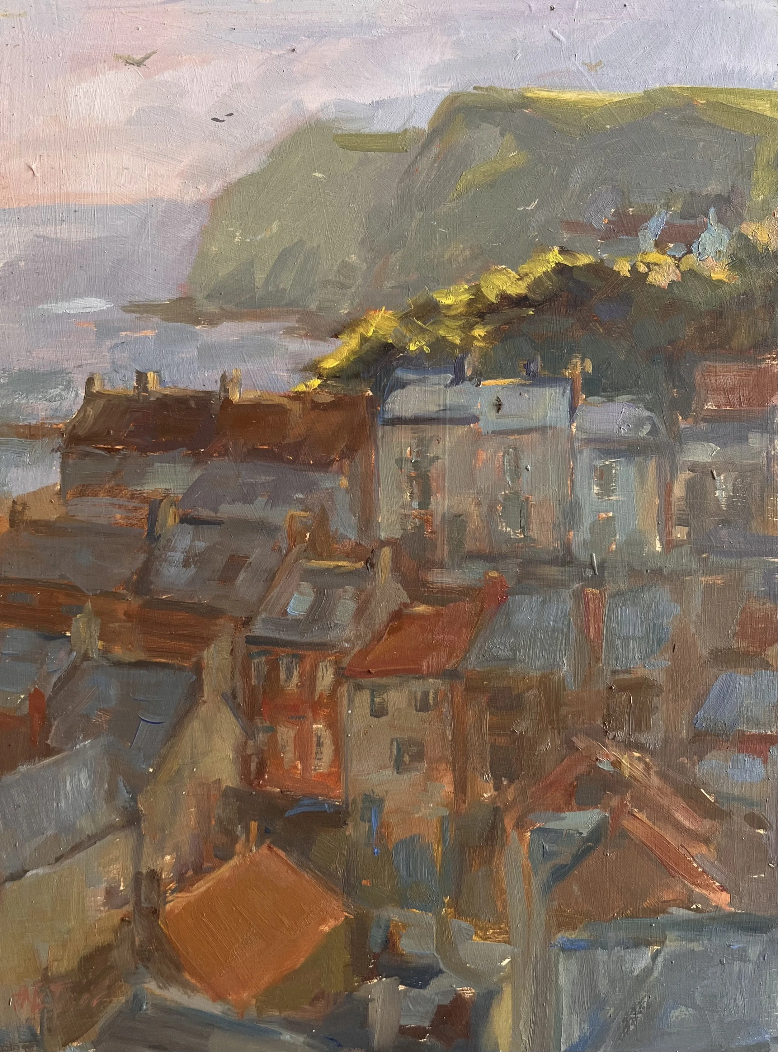 A sunny Morning Over Staithes