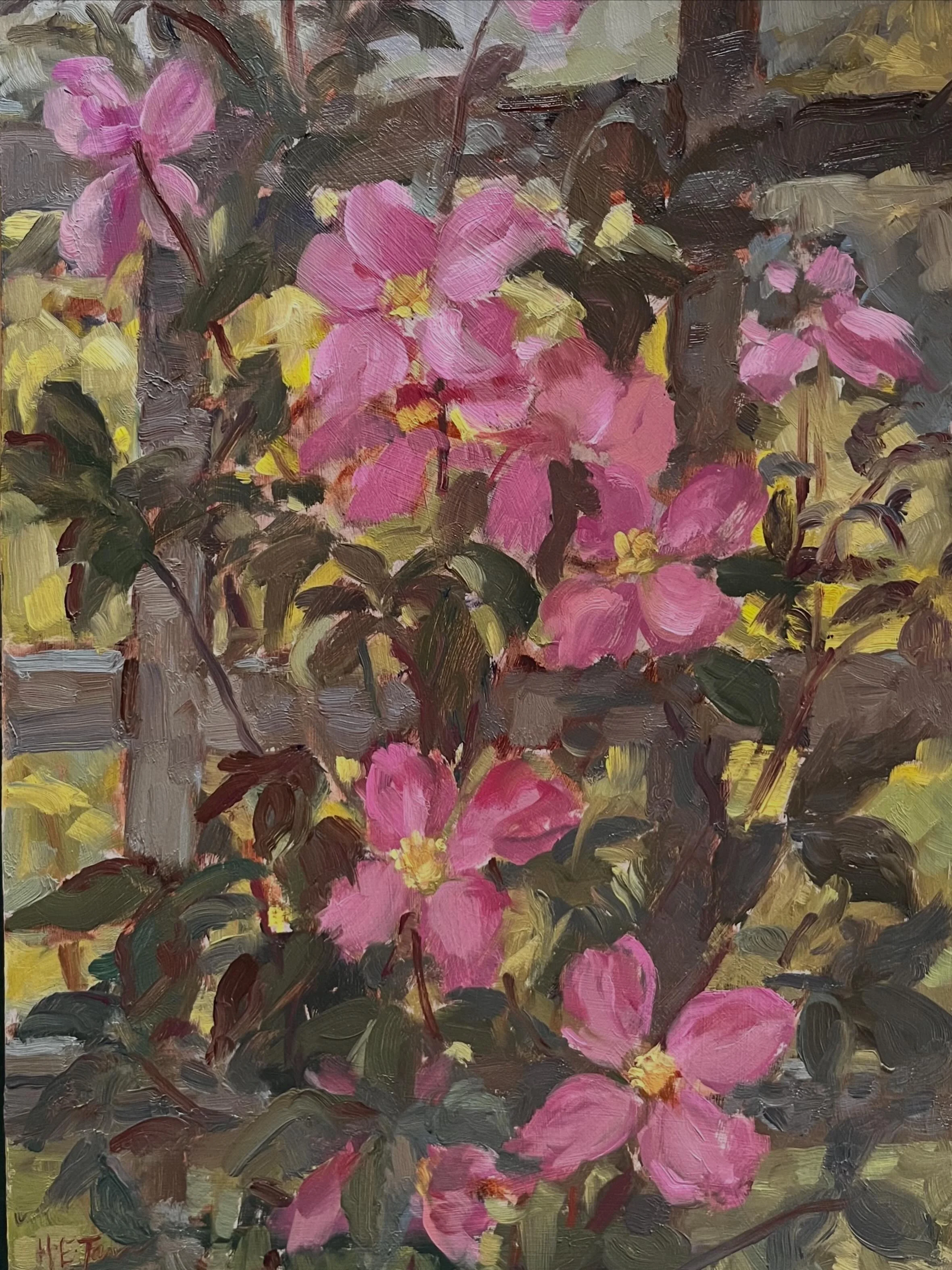 Clematis and Trellis