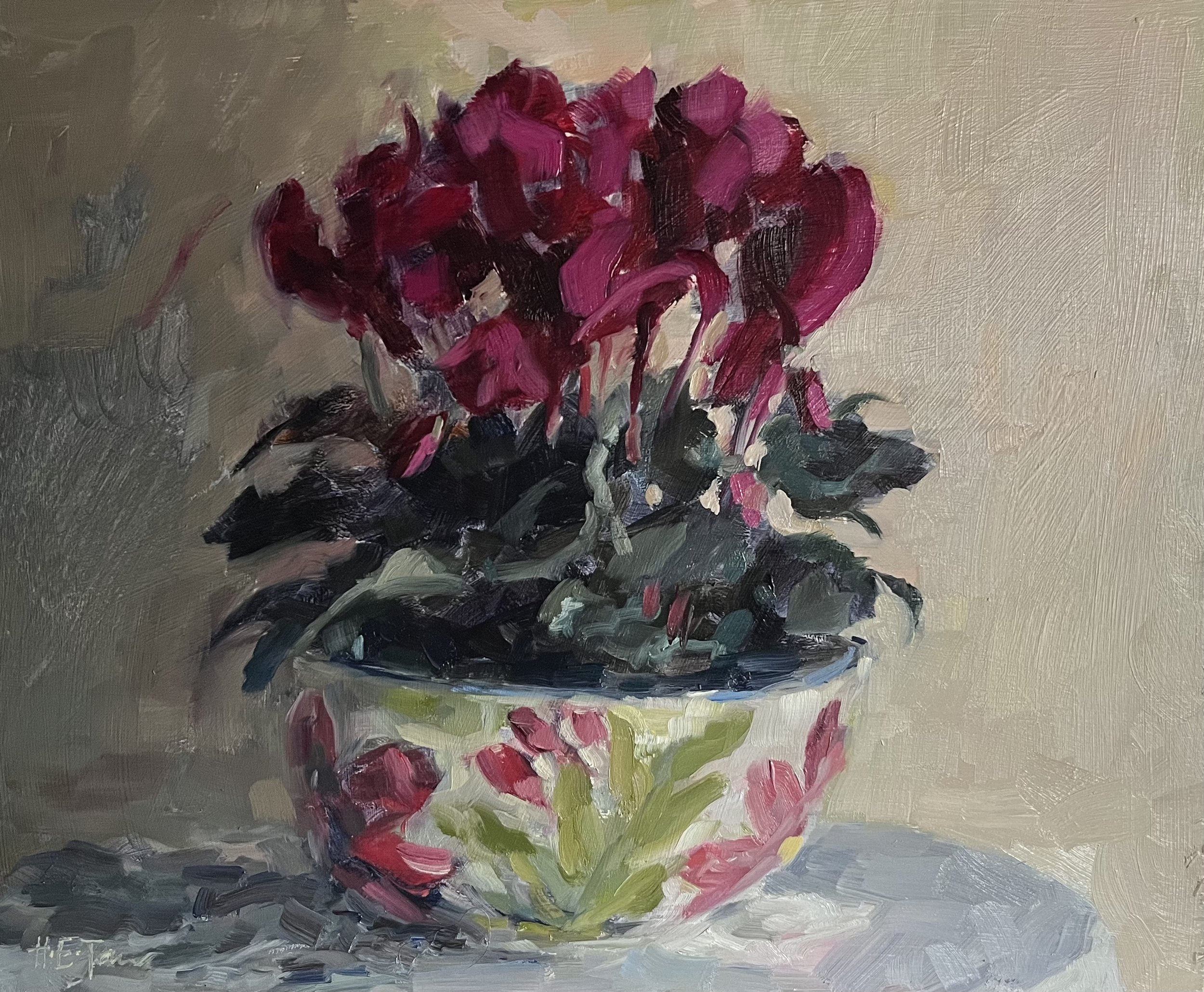 Deep Pink Cyclamen