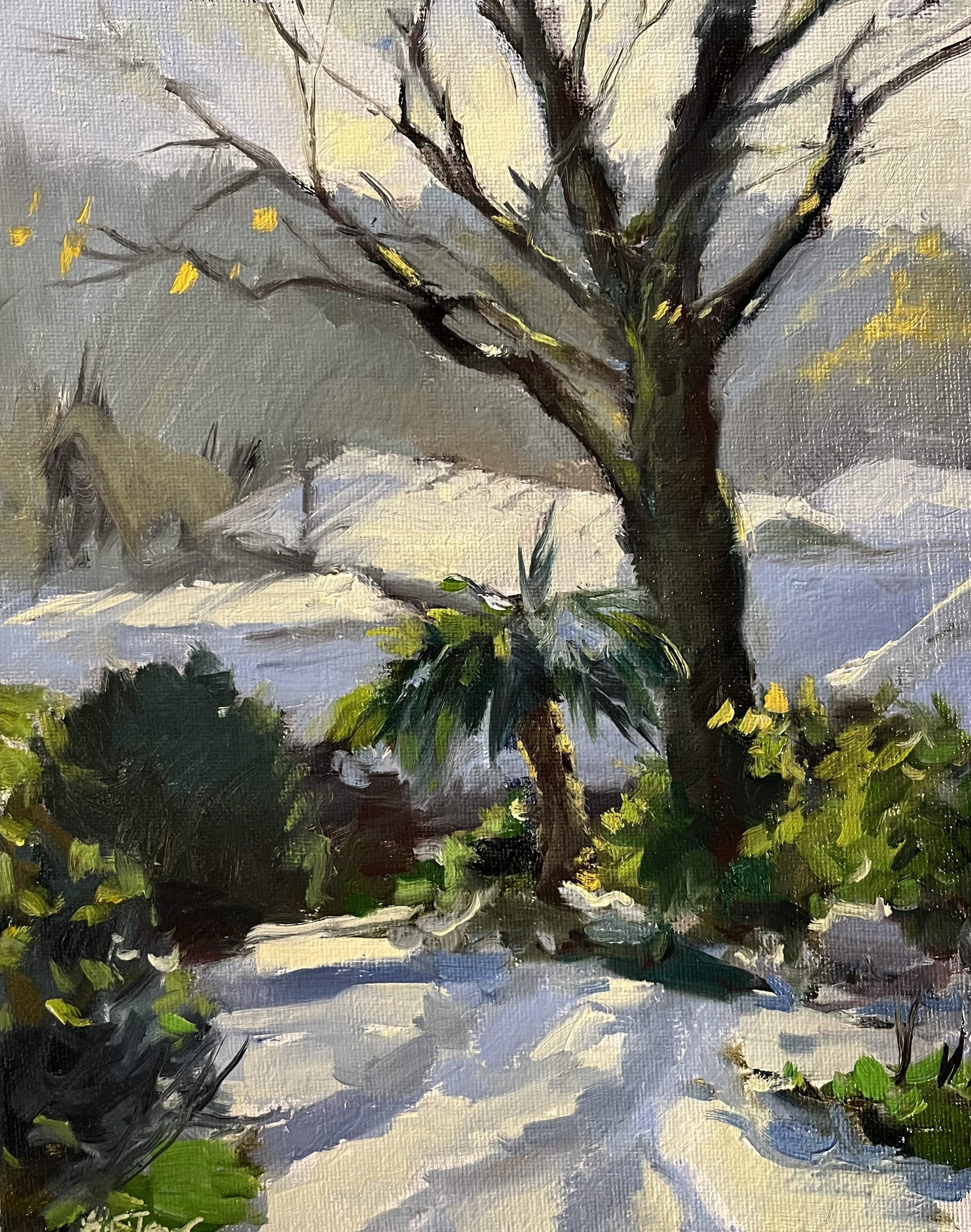 The Snowy Garden Next Door