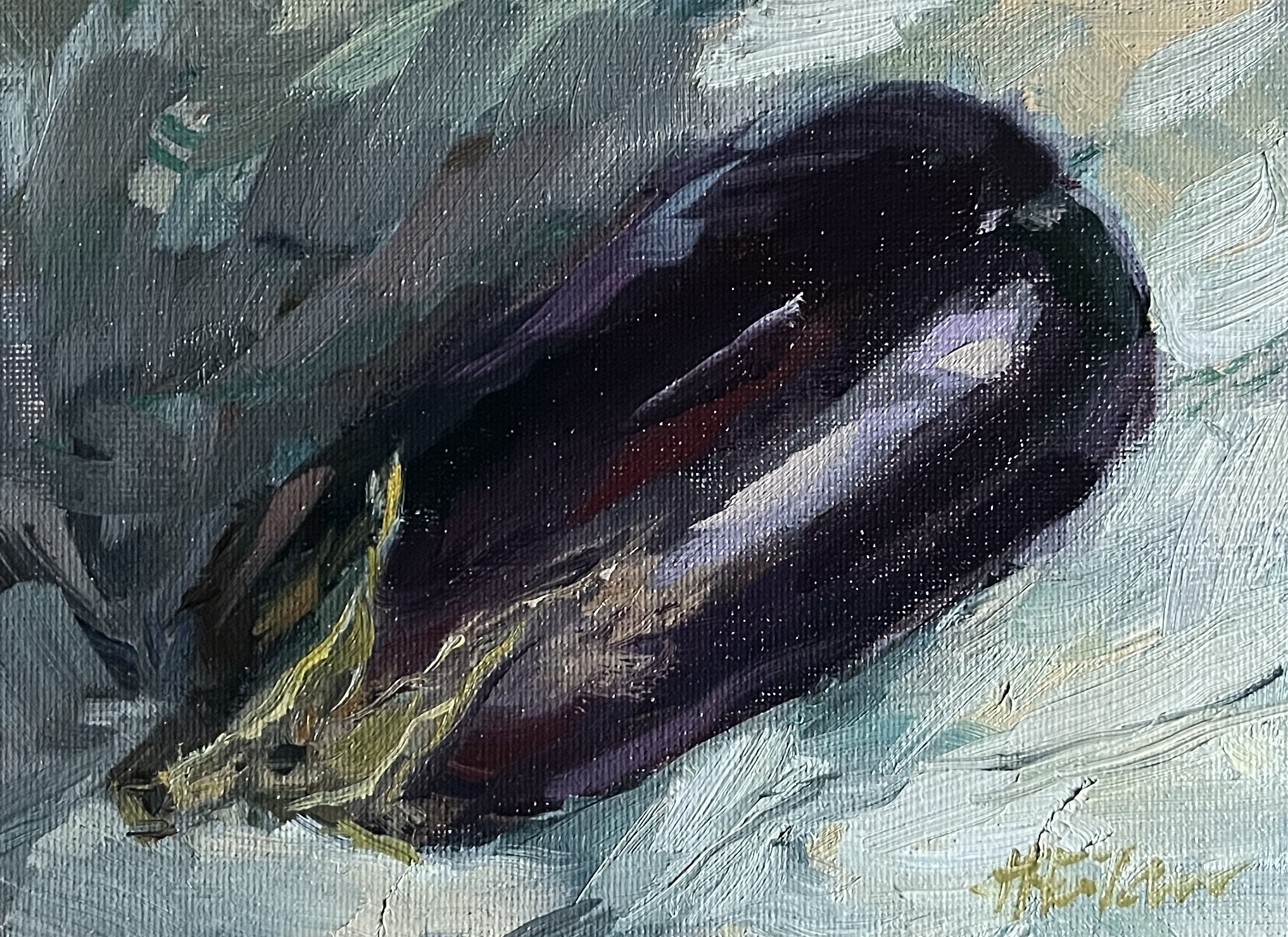Afternoon Light on an Aubergine