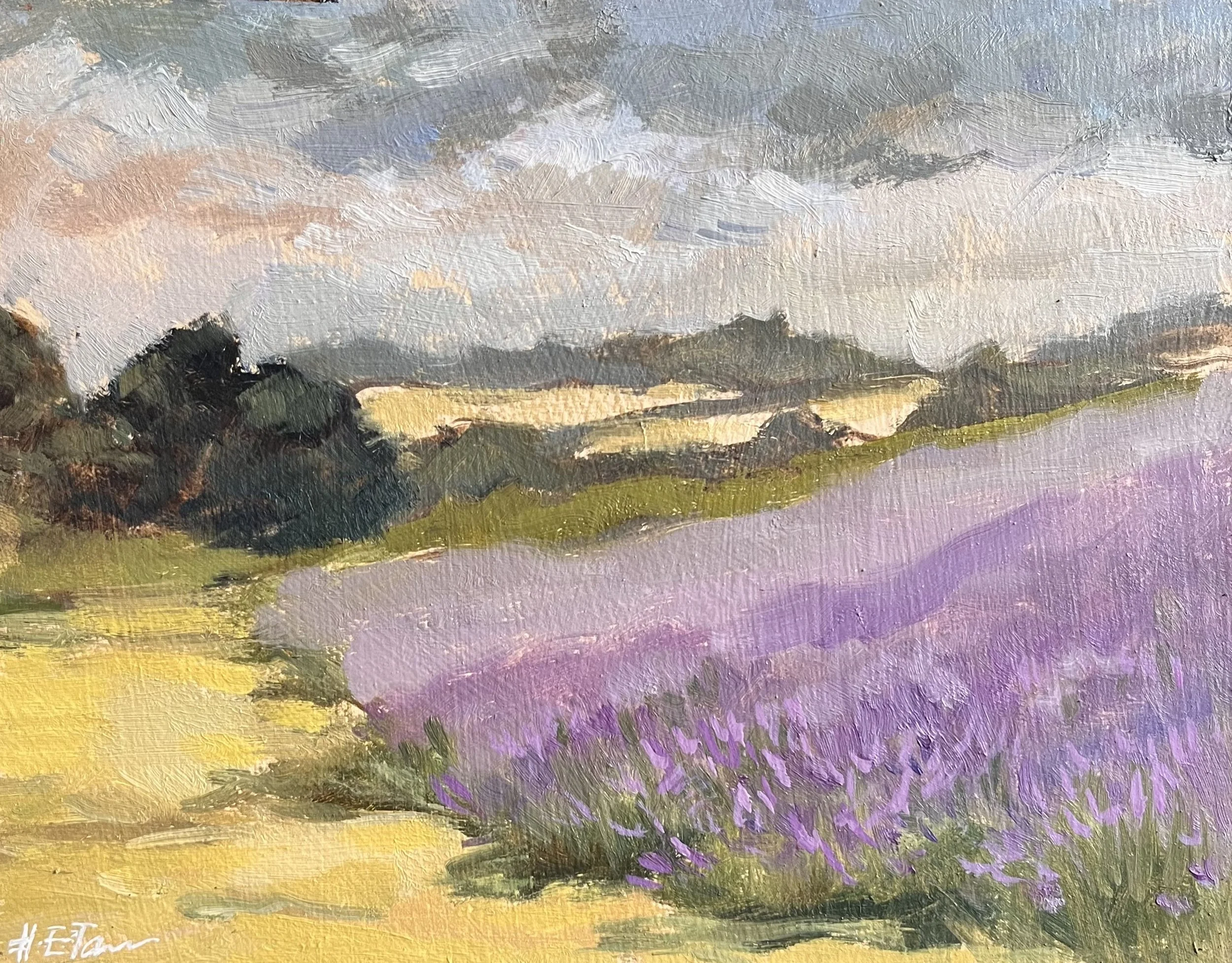Lavender Haze
