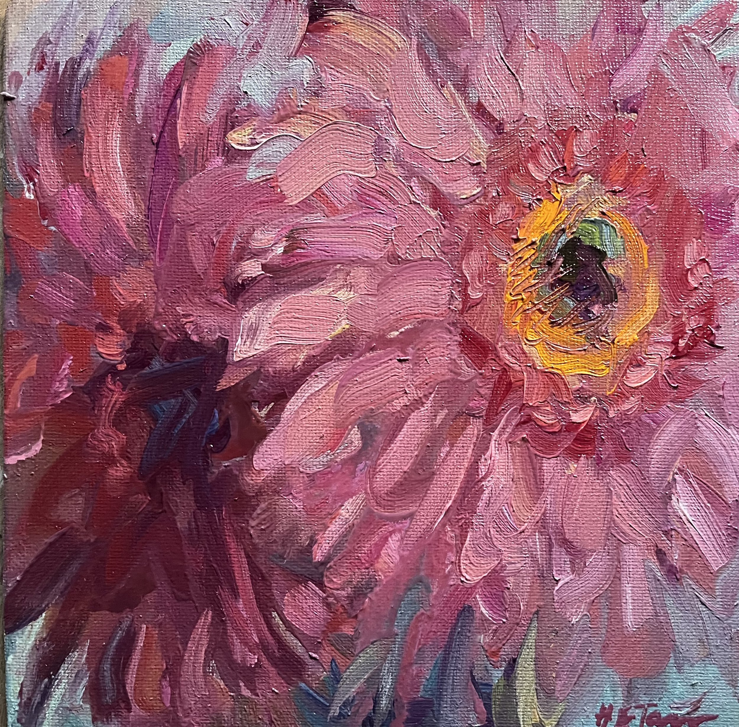 Two Gerberas