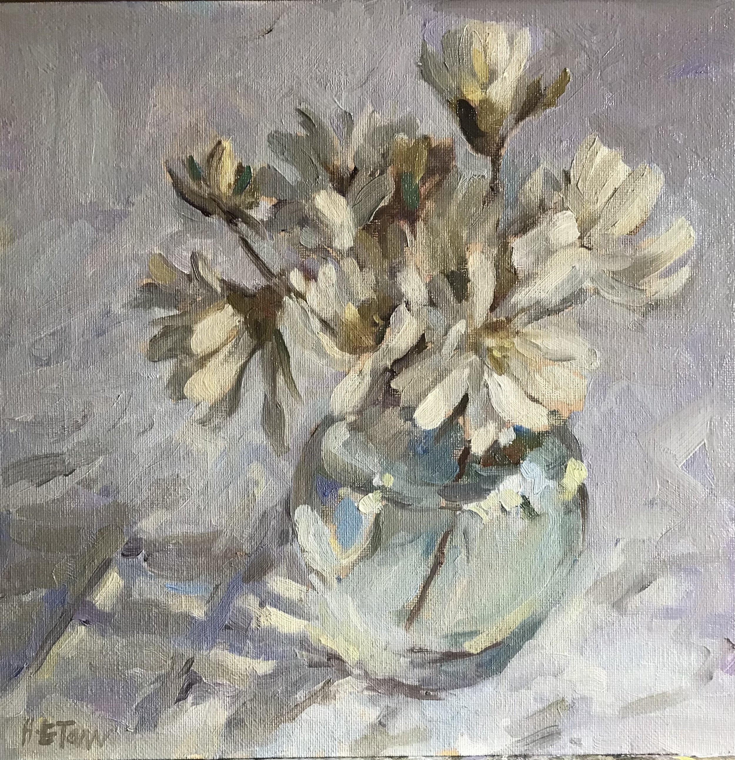 A Study in White with Magnolias