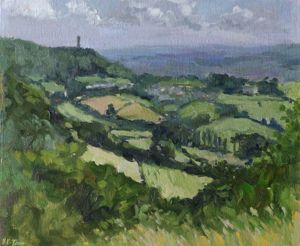 Tyndale Monument from Stinchcombe Hill
