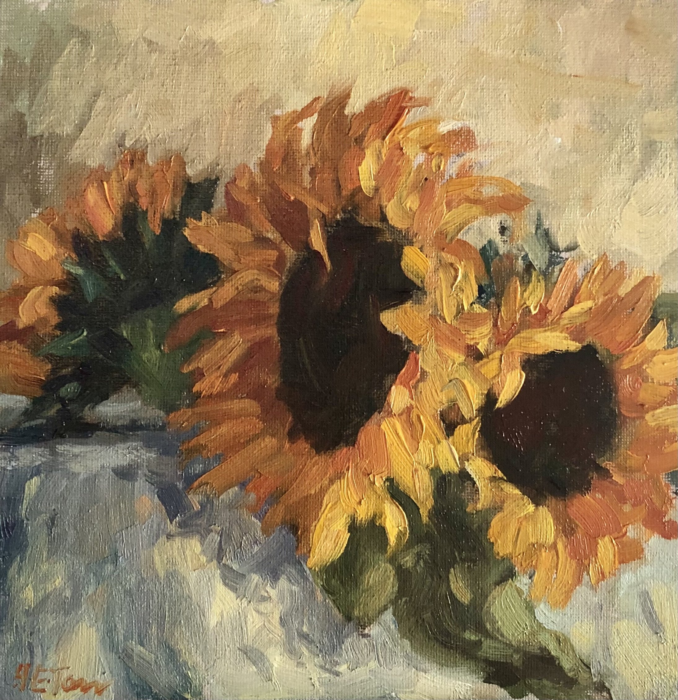 Sun Followers