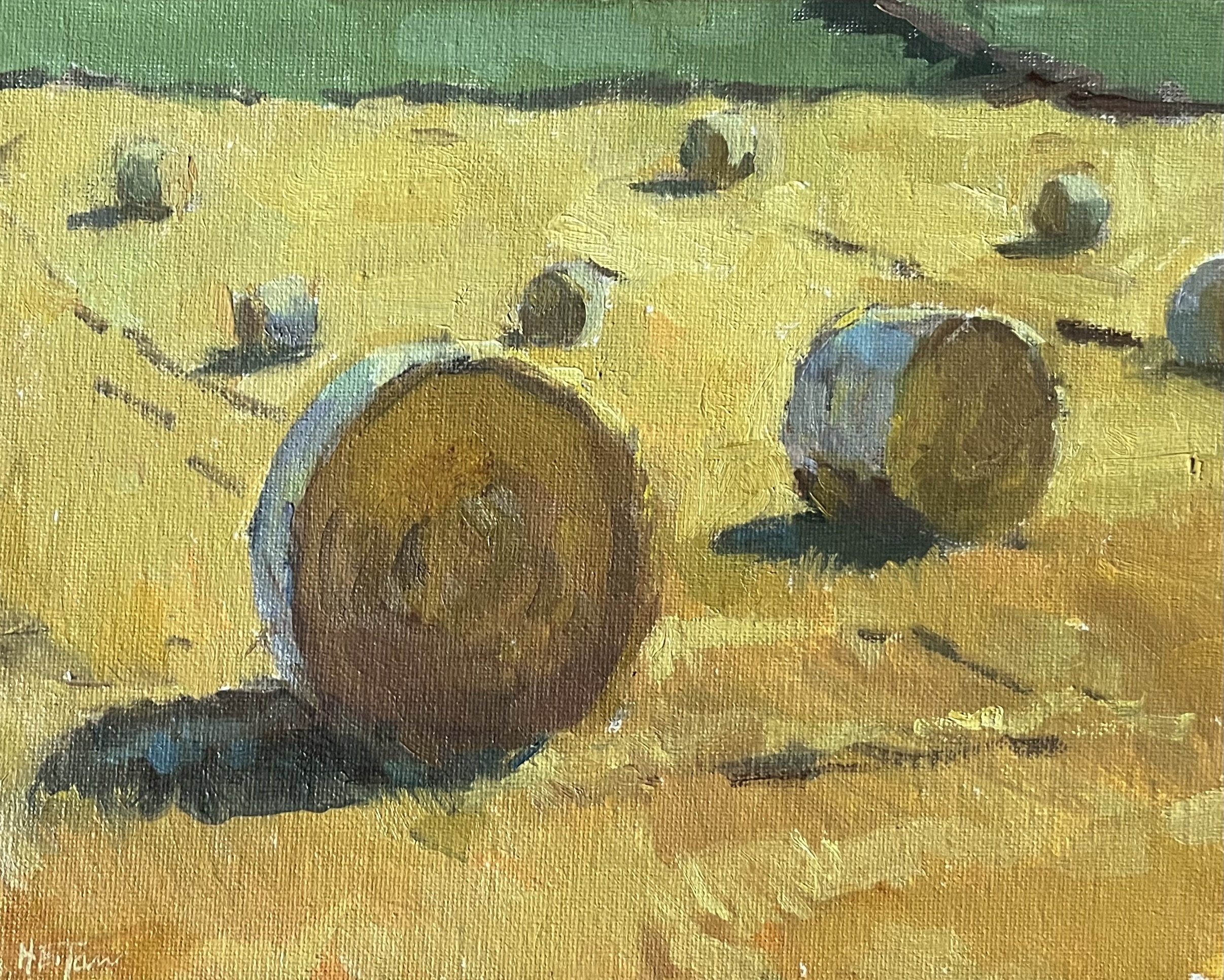 Sunlight on Straw Bales