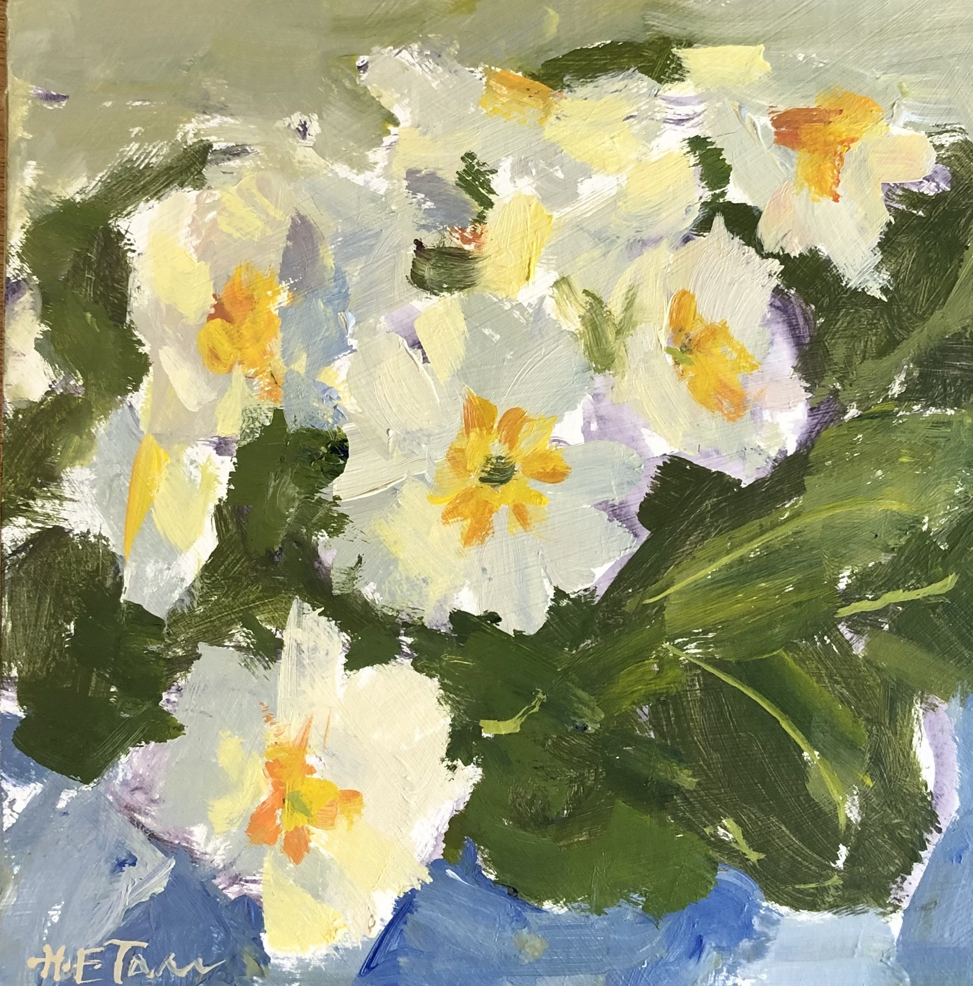 Primroses