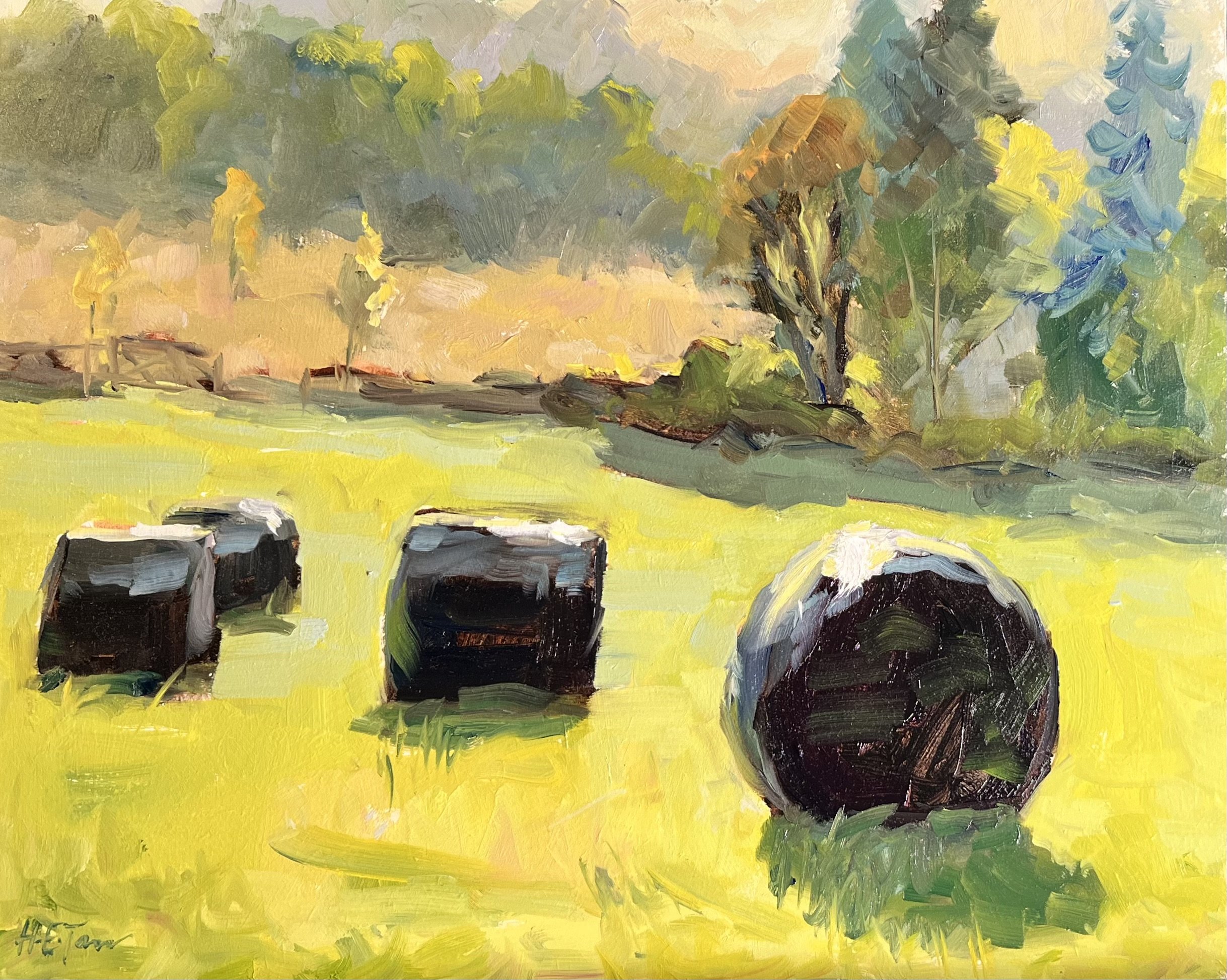 Autumn Sun on Silage Bales