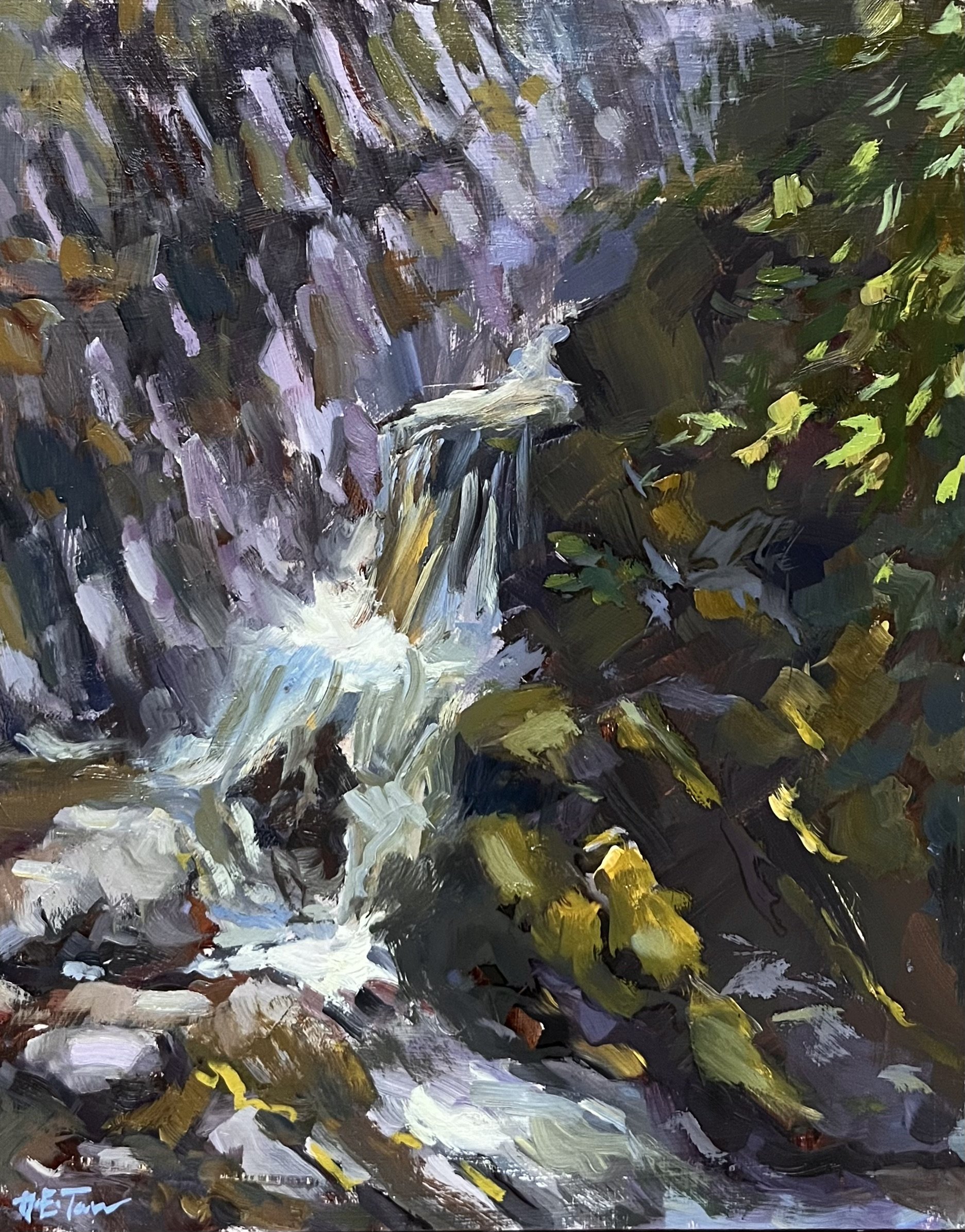 Conwy Falls