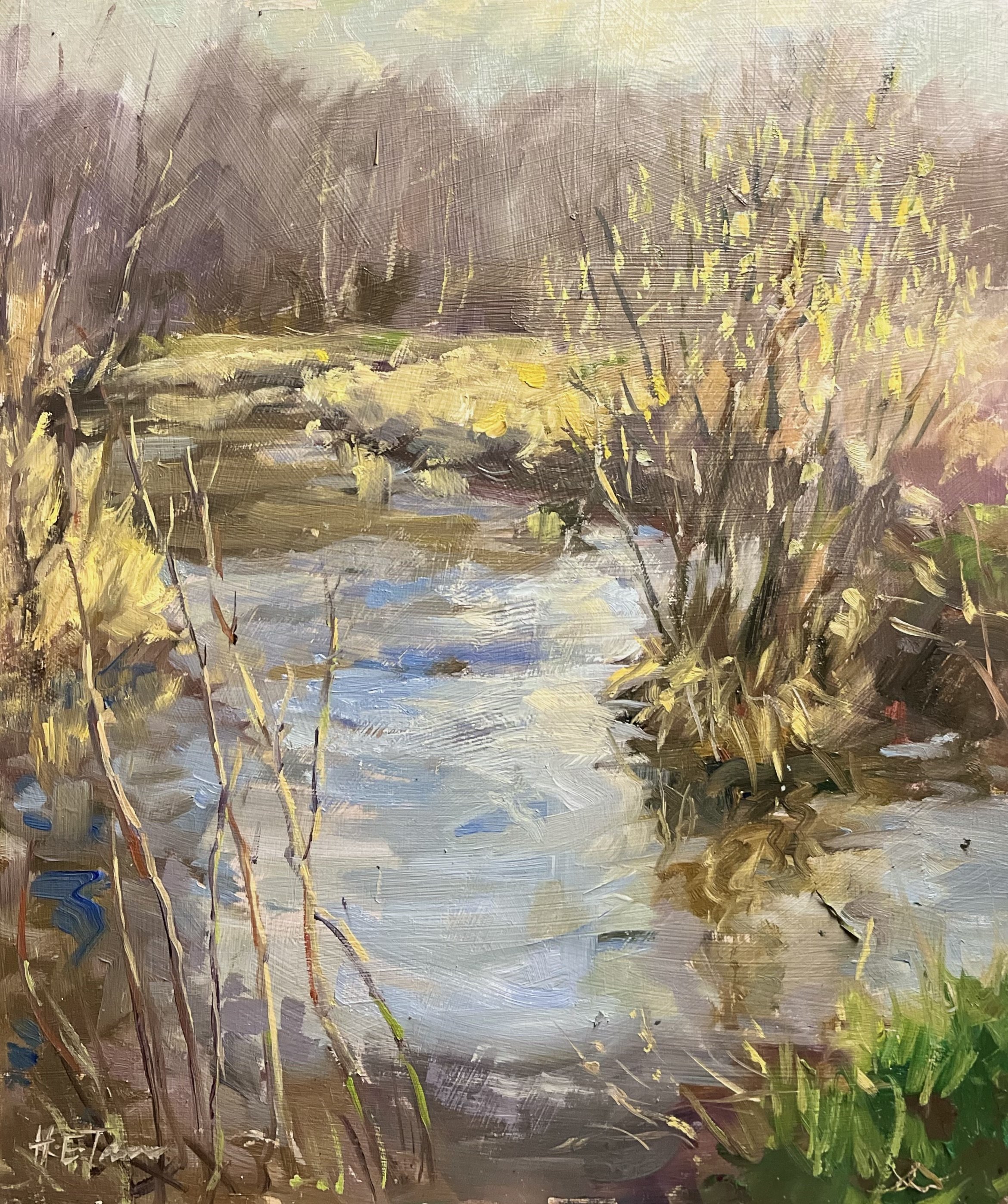 Spring Catkins at Idle Valley