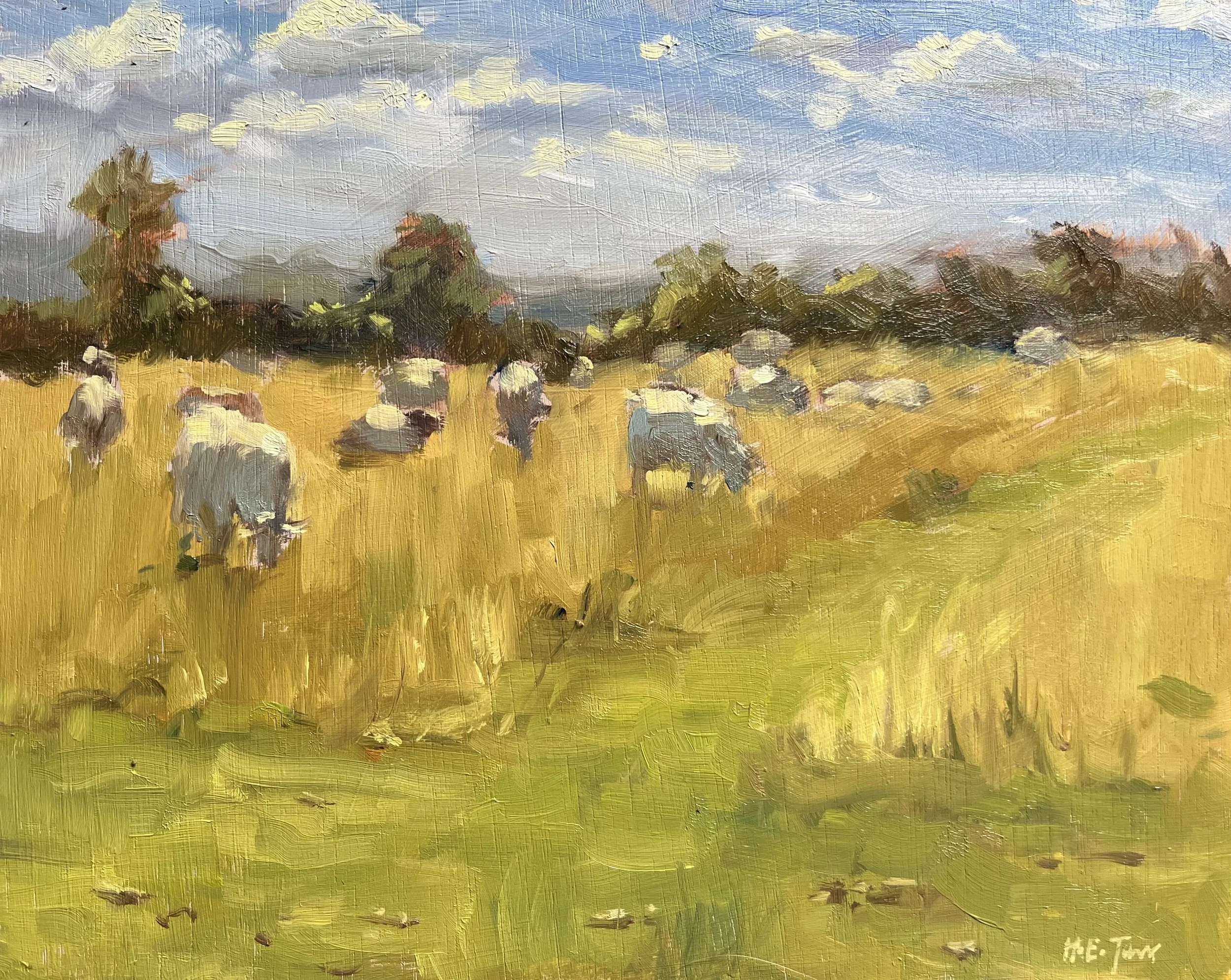 Sheep in a Sunny Field