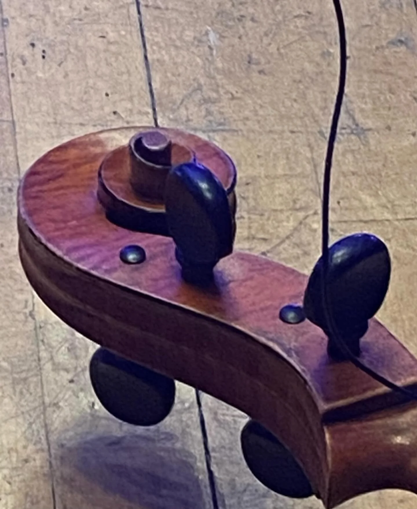 what/where/who/when/how I&rsquo;m doing? 🤷🏻&zwj;♀️