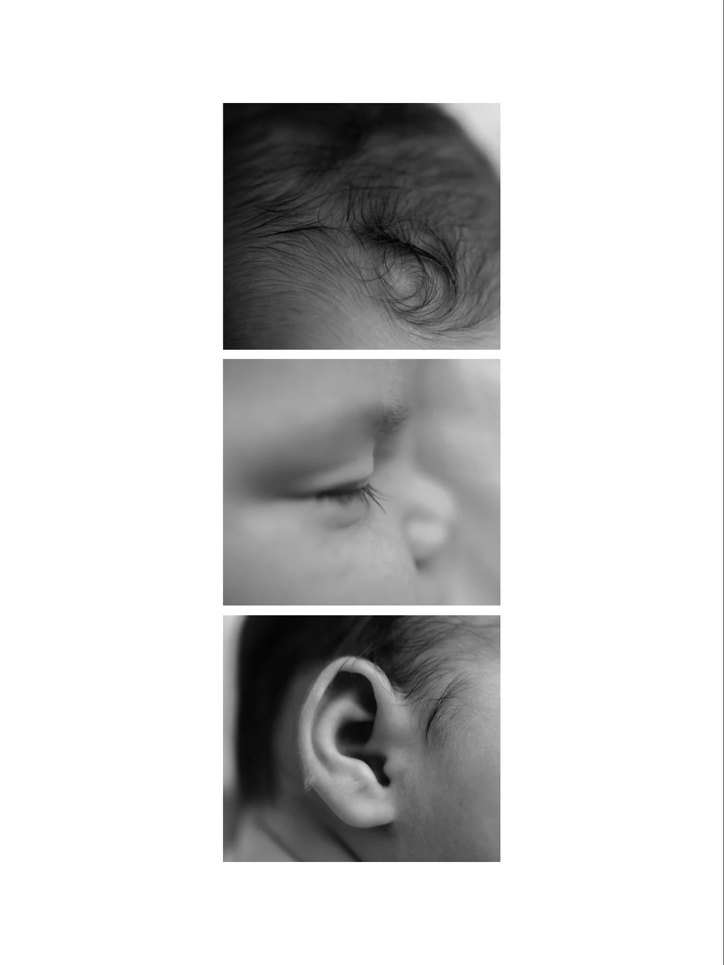 Every.Little.Detail 

#newbornphotography #newborndetails #newborncloseups #blackandwhitephotography #littledetails #macrophotography #ulverstonphotographer