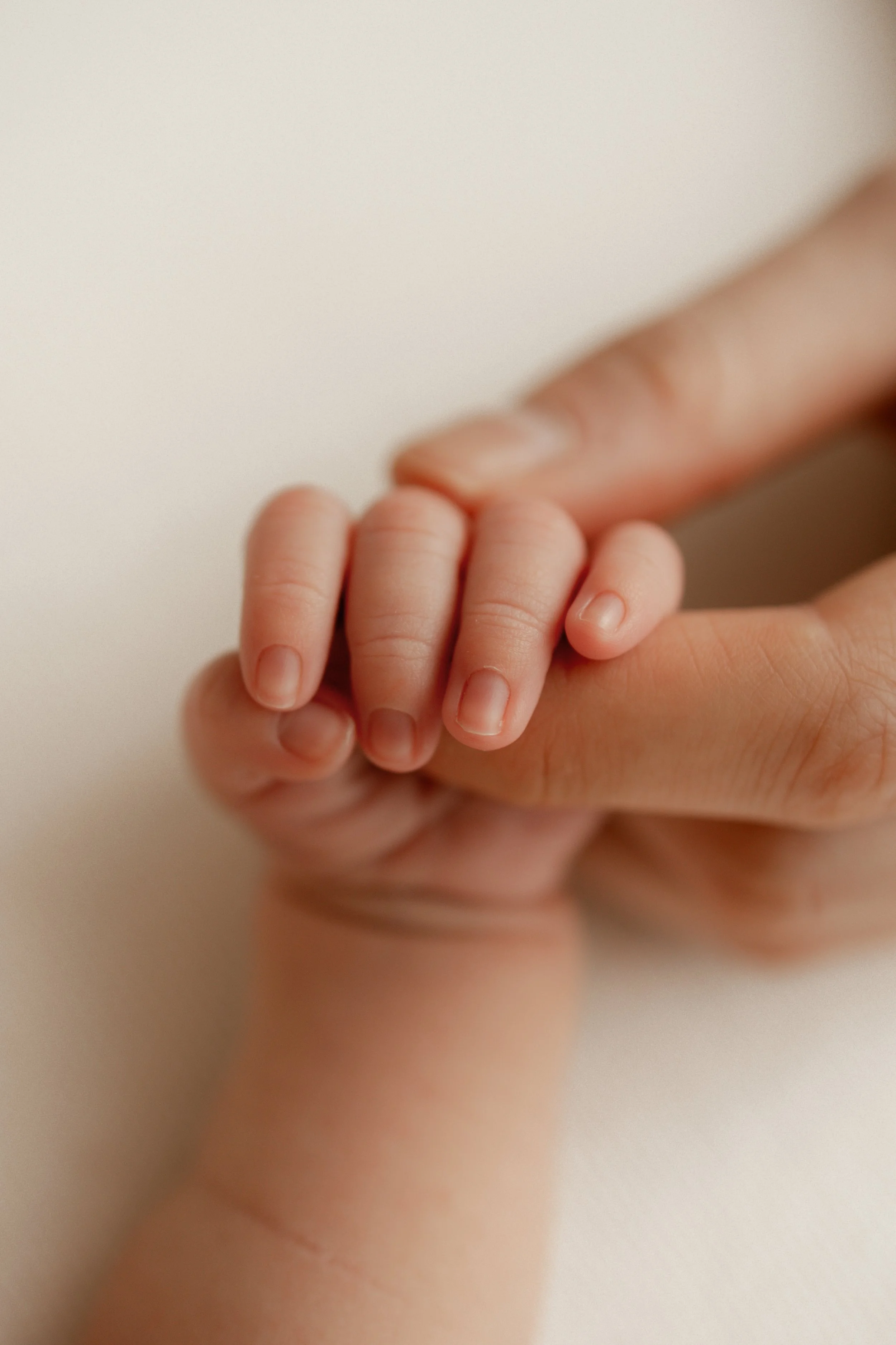 close up of parent holding newborns hand