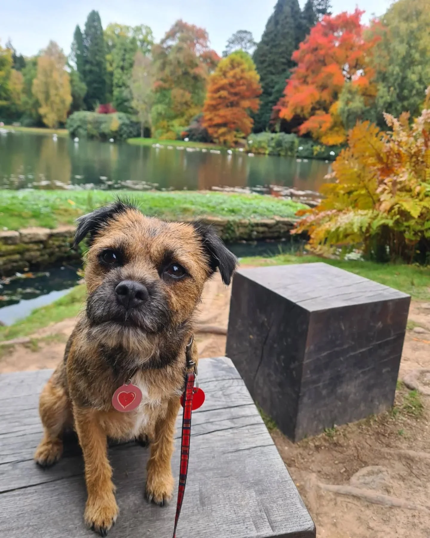 Autumn colours set the scene for a busy season of site visits across the Whaleback team.

#autumn #sitevisit #planning #whaleback