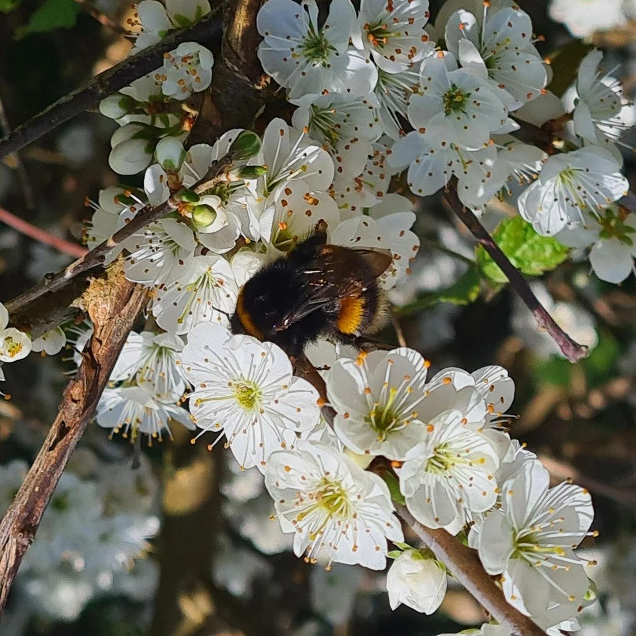 Spring has truly sprung at Whaleback. Our team are out embracing the season's site visits across the South East!