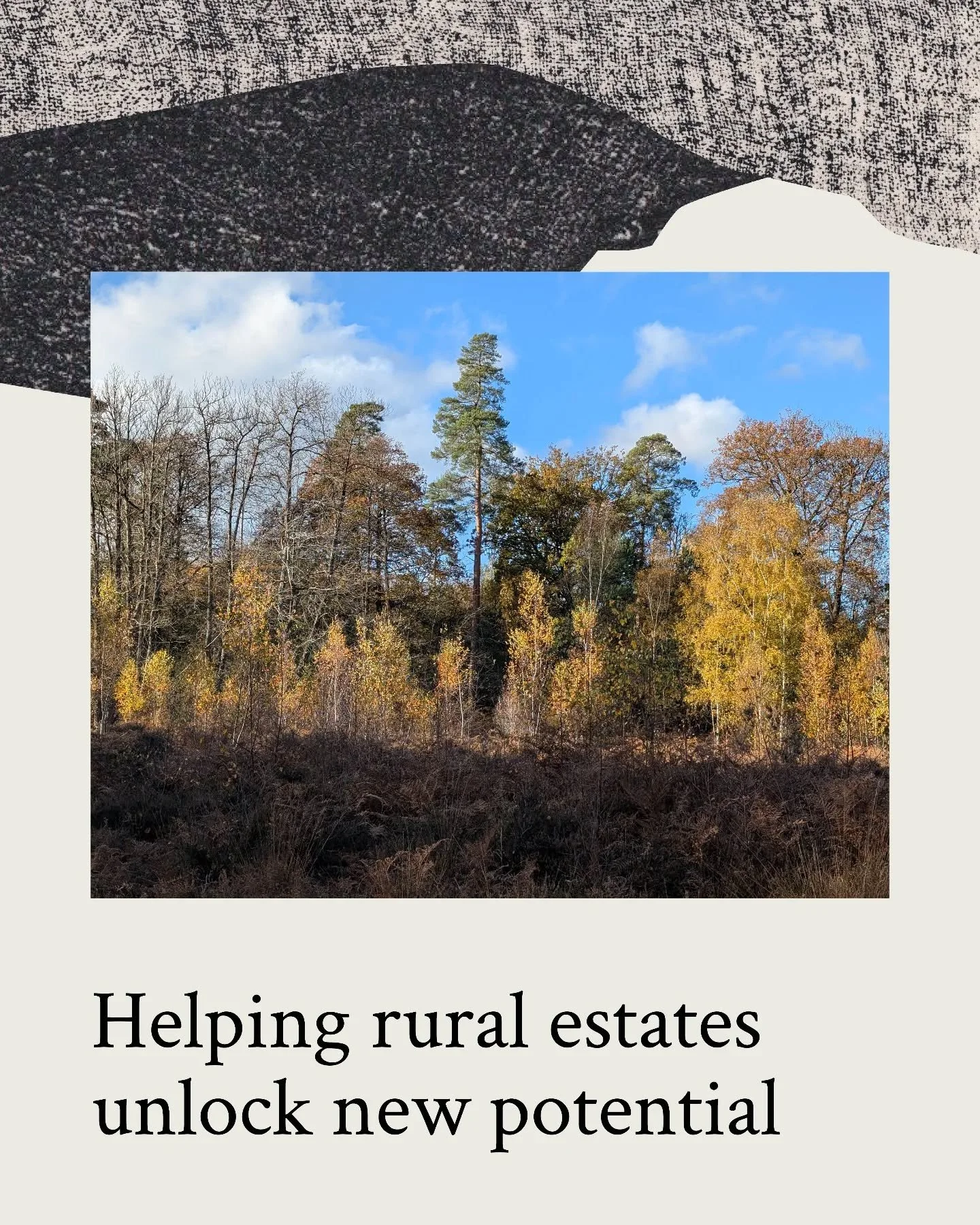 At Whaleback, we are proud to be helping rural estates to unlock new potential through strategic diversification.

The landscape of traditional farming land management is ever changing, and we work with landowners to ensure that their transition is s