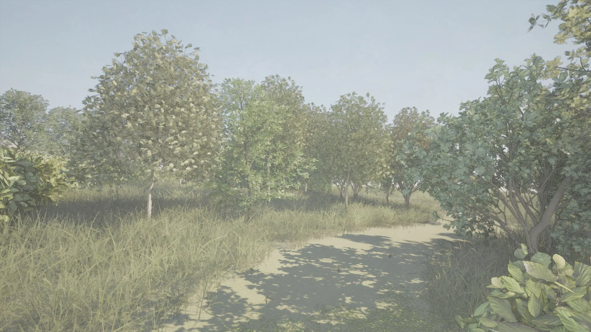 A sandy pathway surrounded by lush green trees and bushes under a clear blue sky.