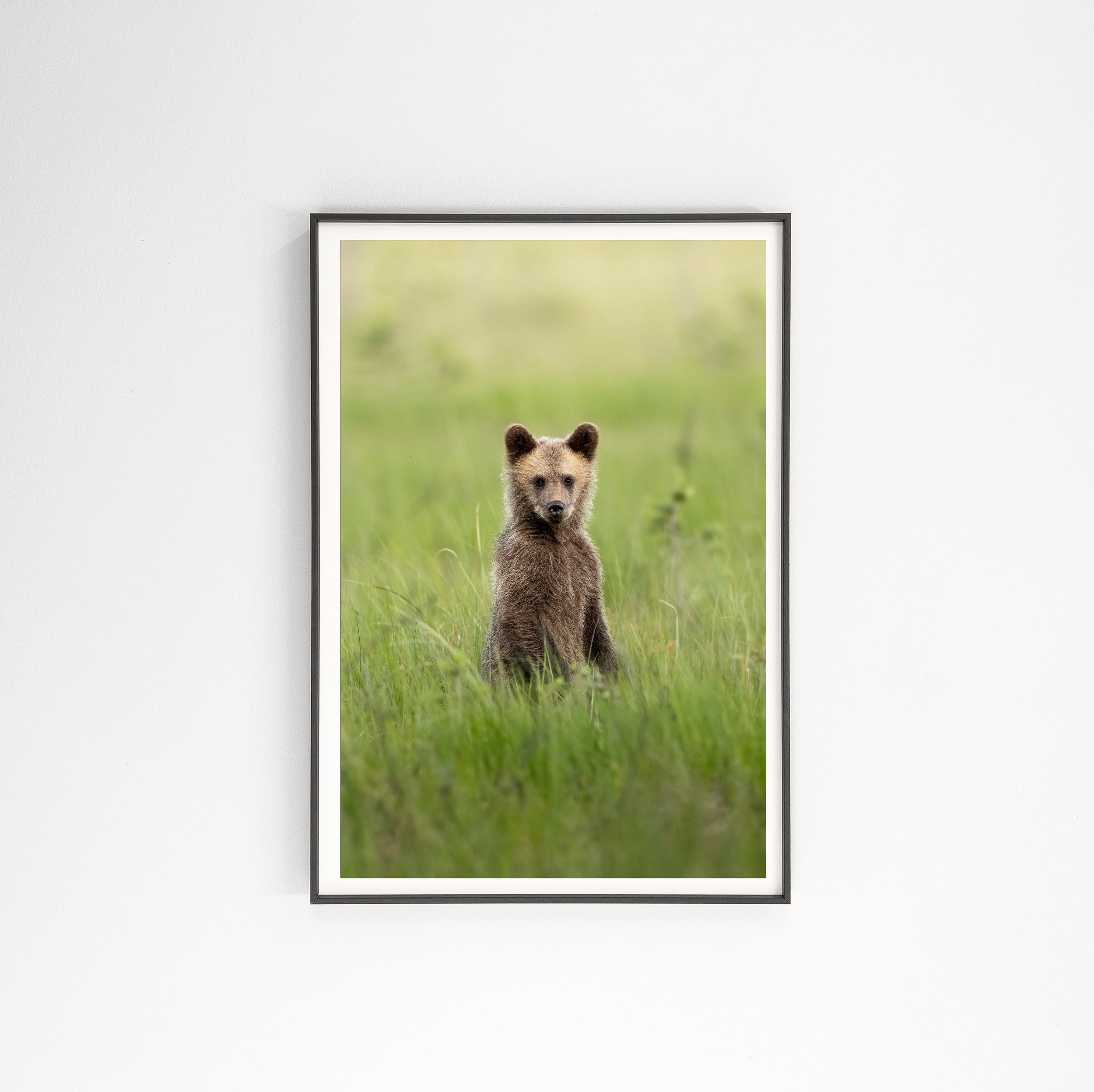 beautifulbearcub2.jpg