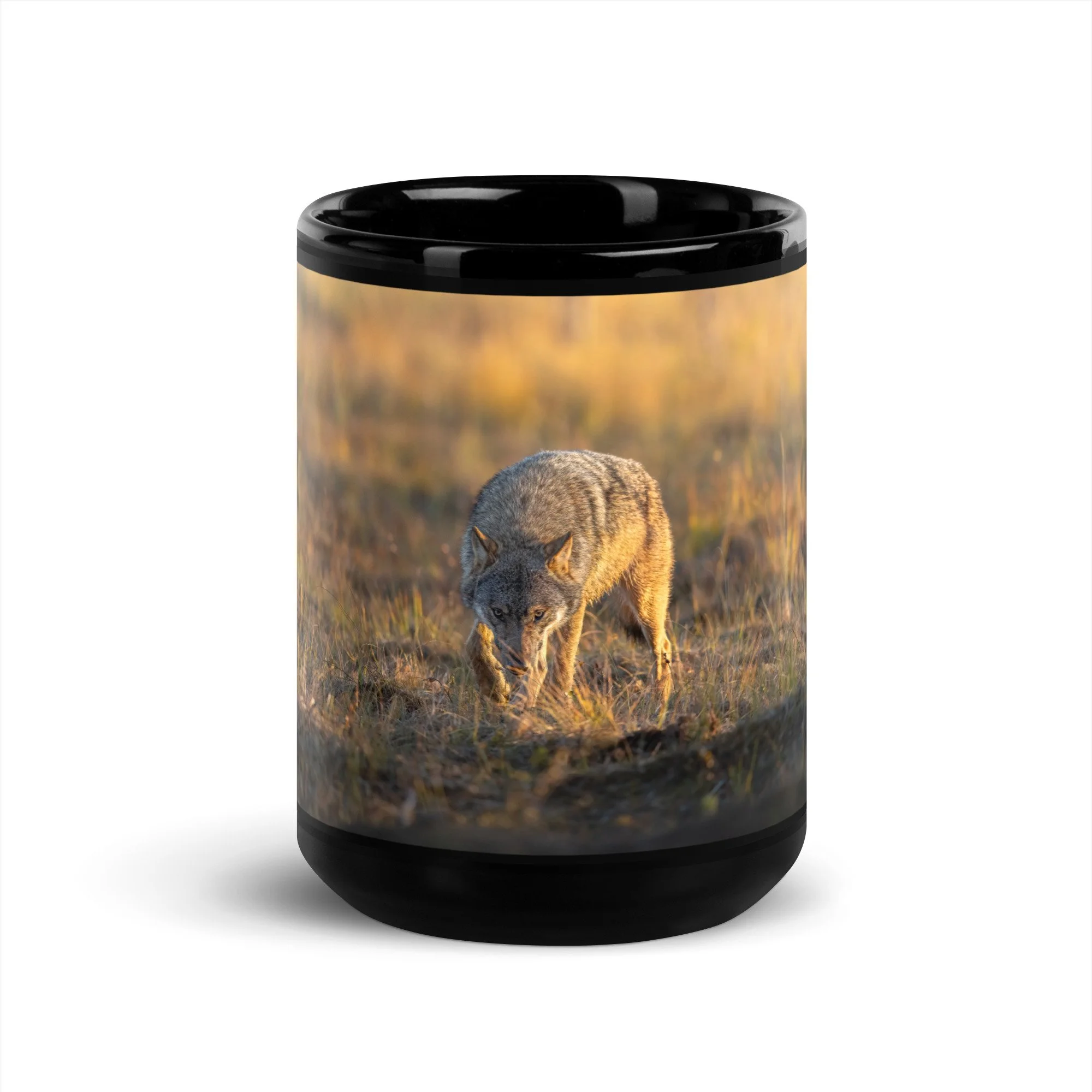 Black Glossy Mug