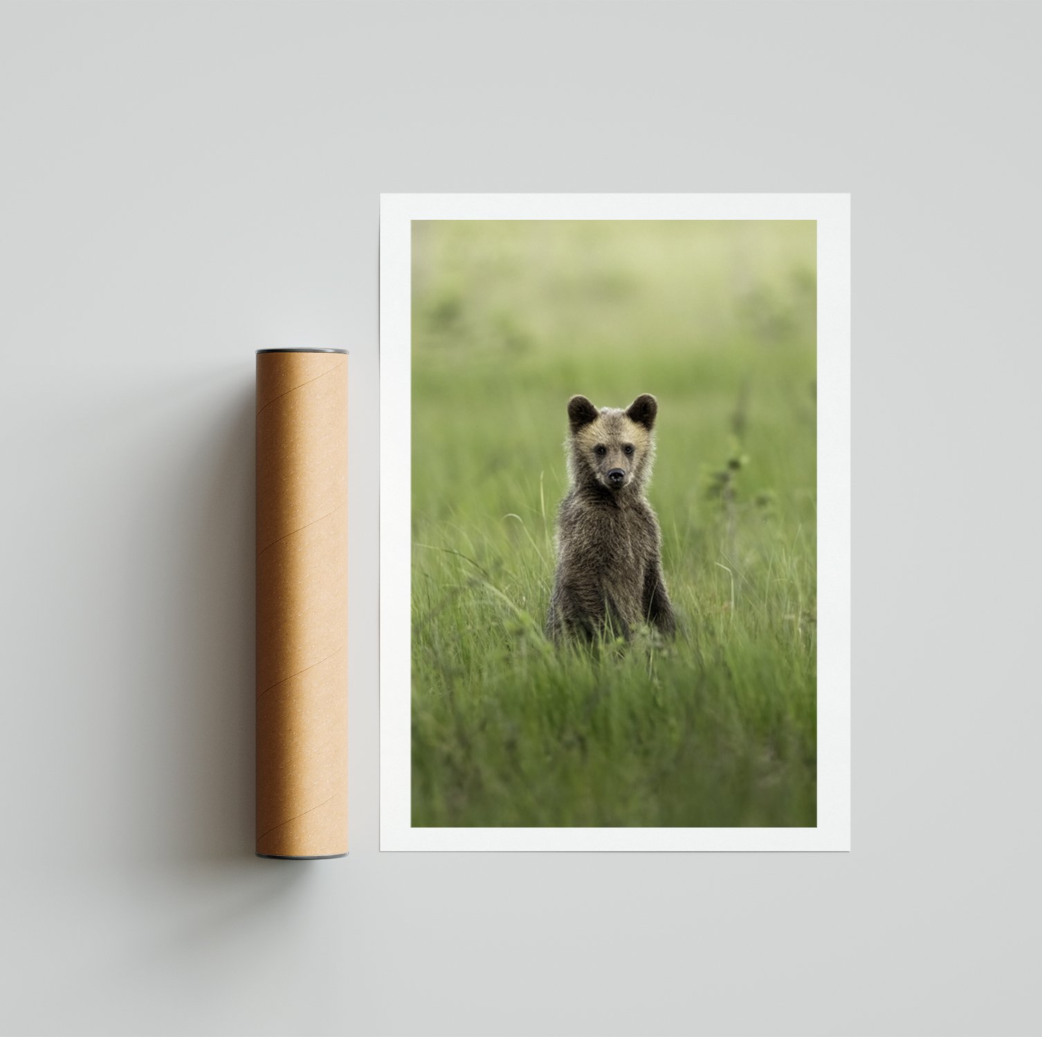 beautifulbearcub.jpg