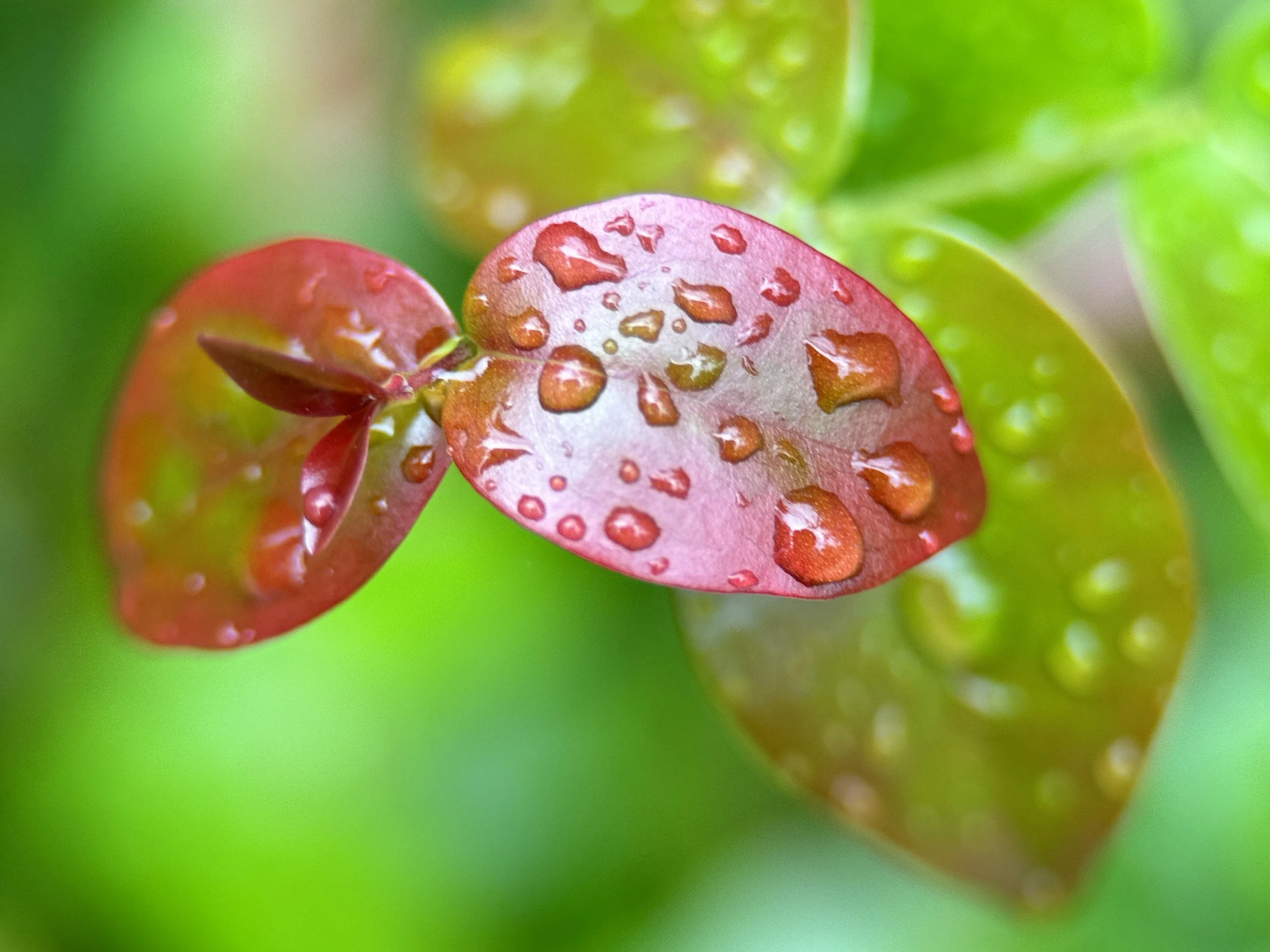 Life Transitions and Identity: When Everything Changes and You Do Not Know Who You Are Anymore