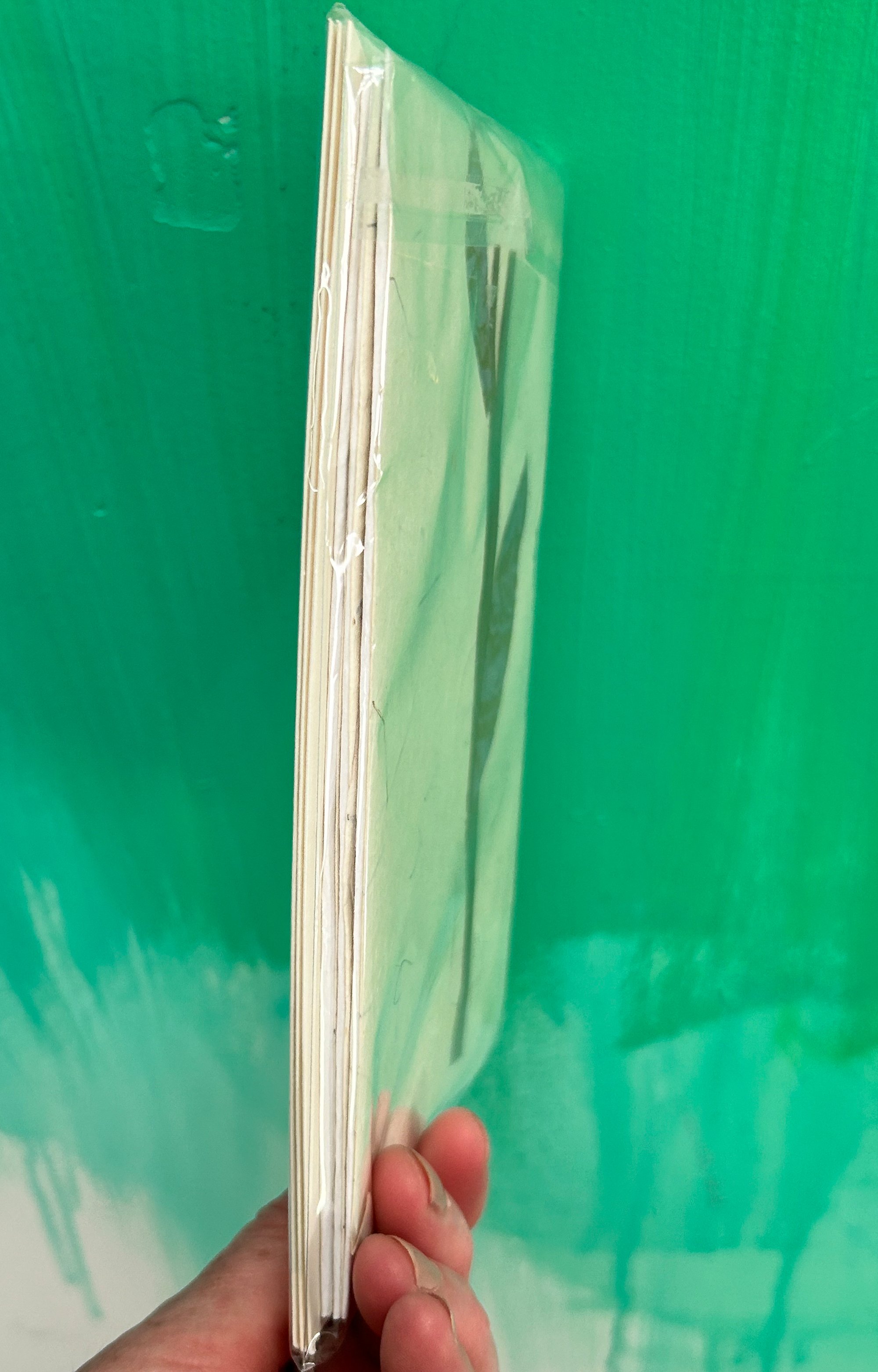 leaf pack.jpg
