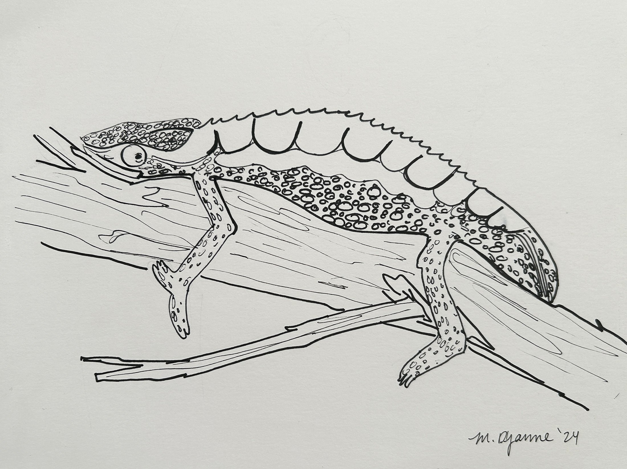 spicy_lizard_linework.jpg