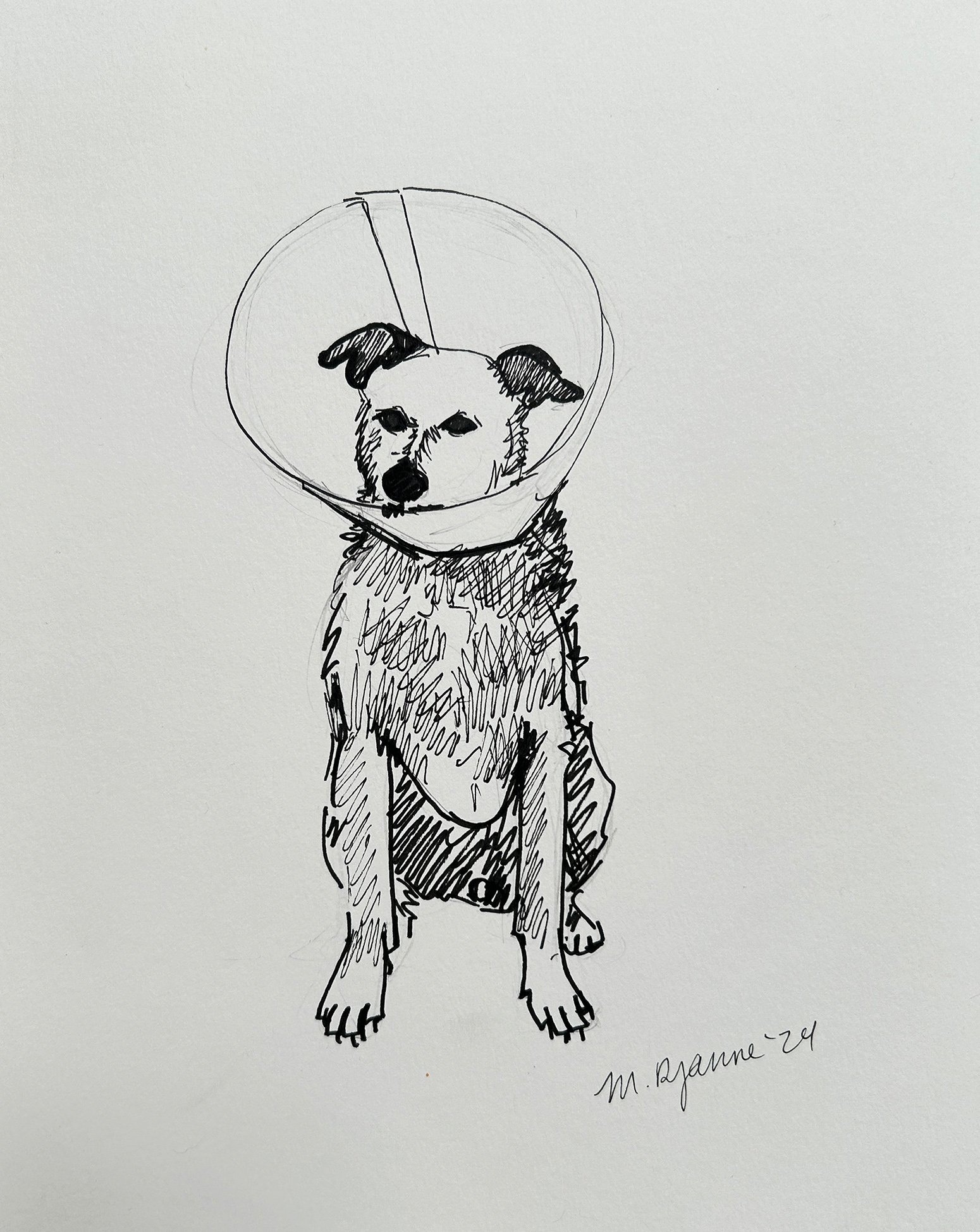 pickles_cone_linework.jpg