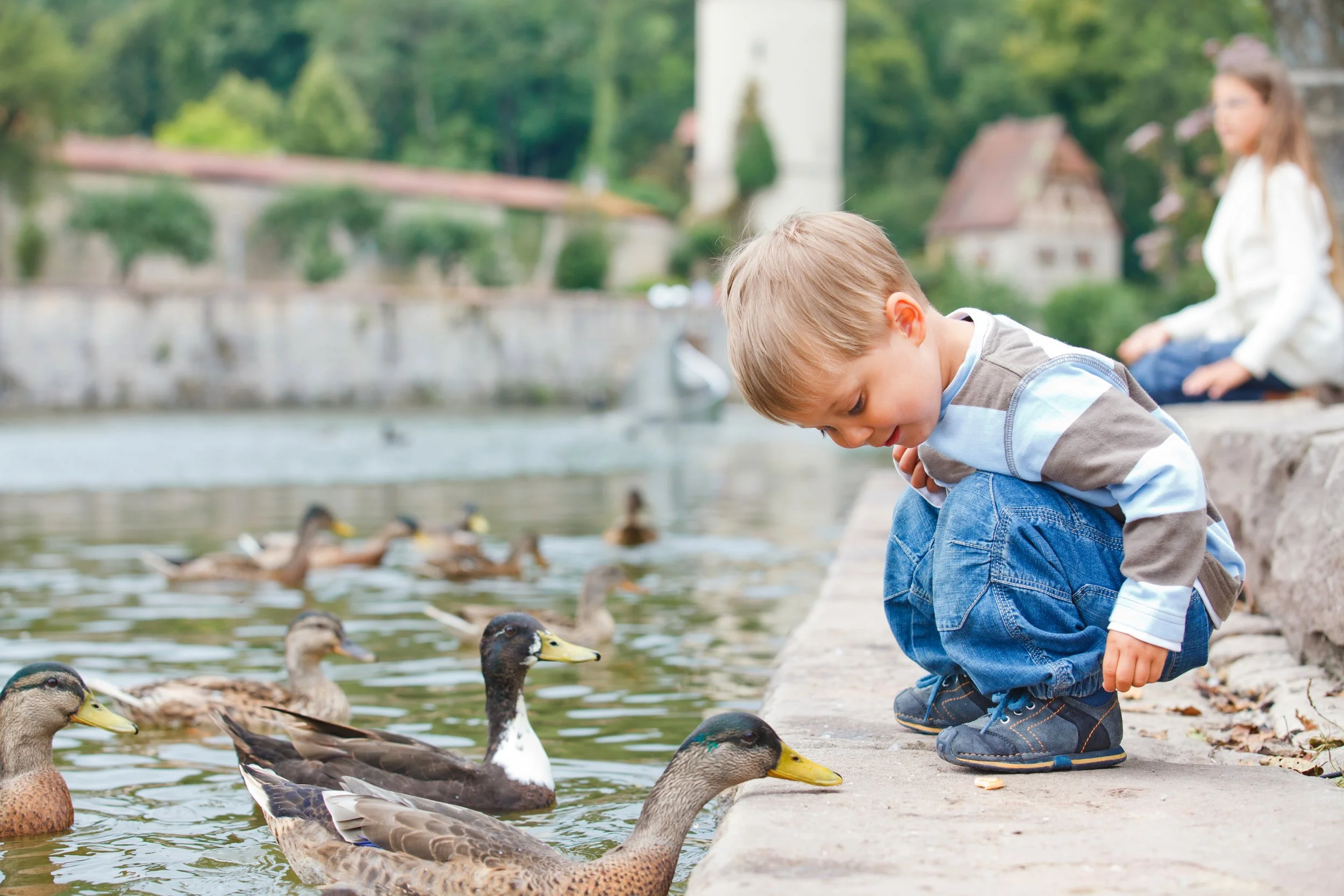 GET YOUR LITTLE DUCKS IN A ROW!