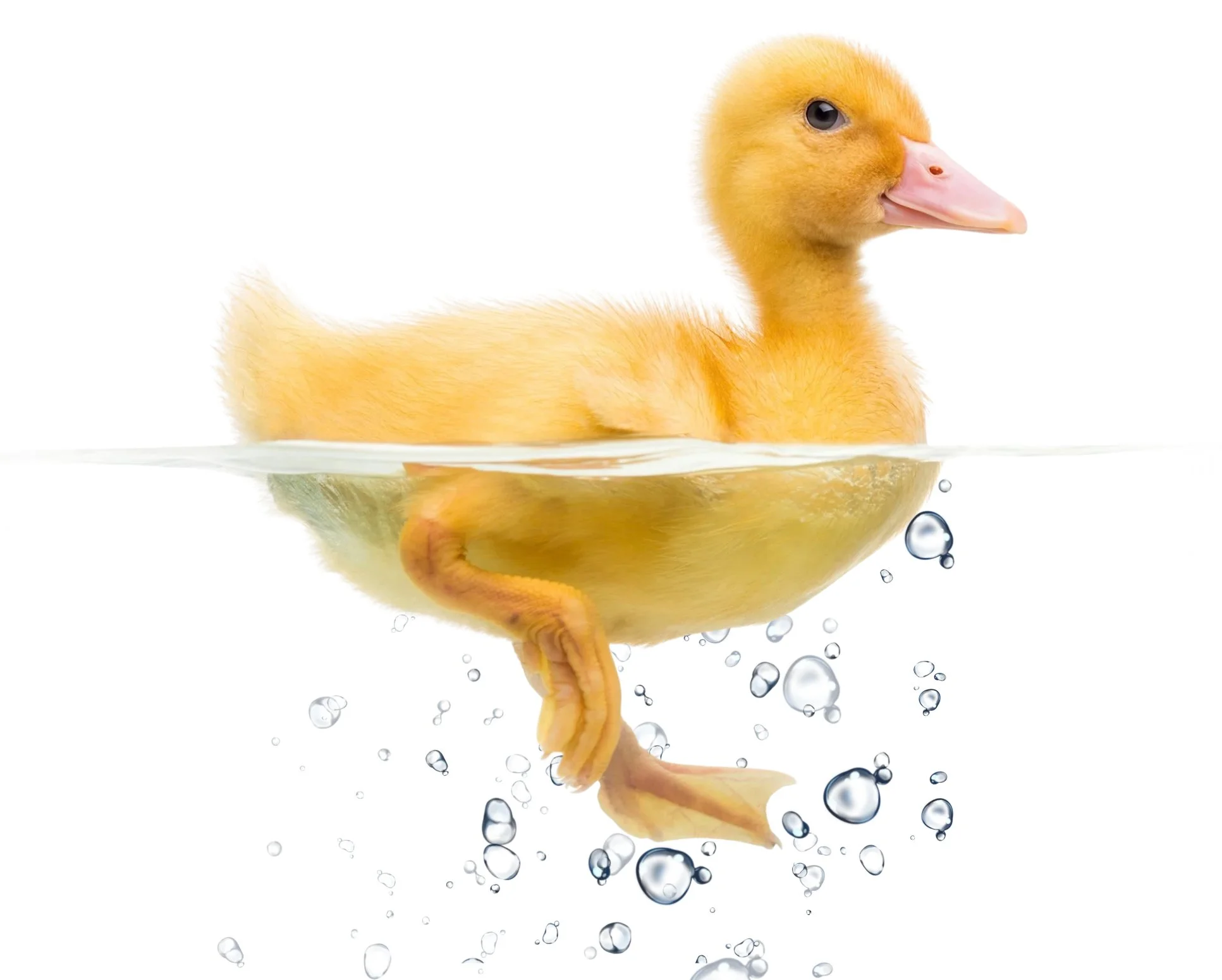 PADDLE INTO MORE SAVINGS!