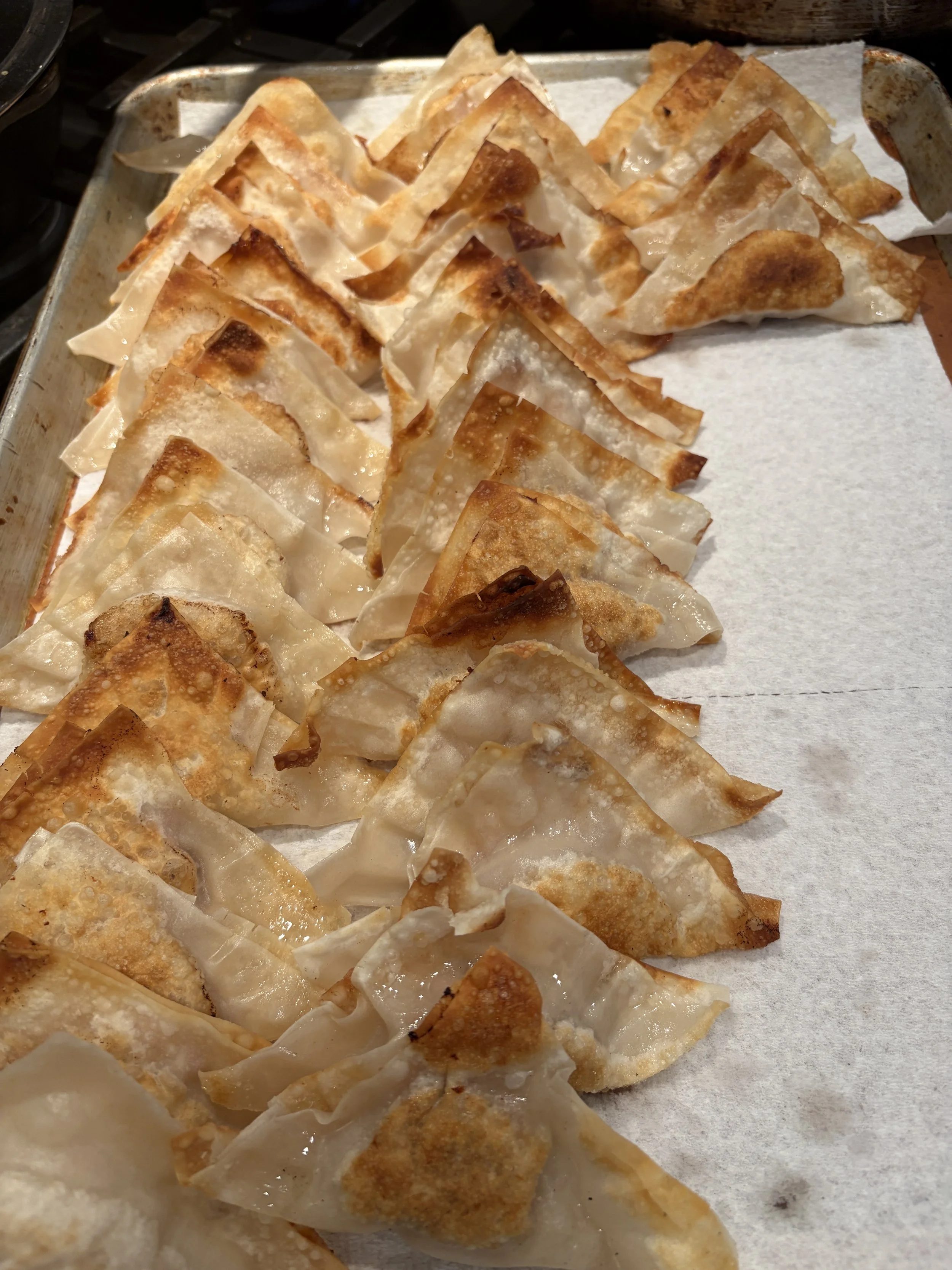 Recipes with Raviv: Episode 8 Easy Kosher Pan-Fried Dumplings