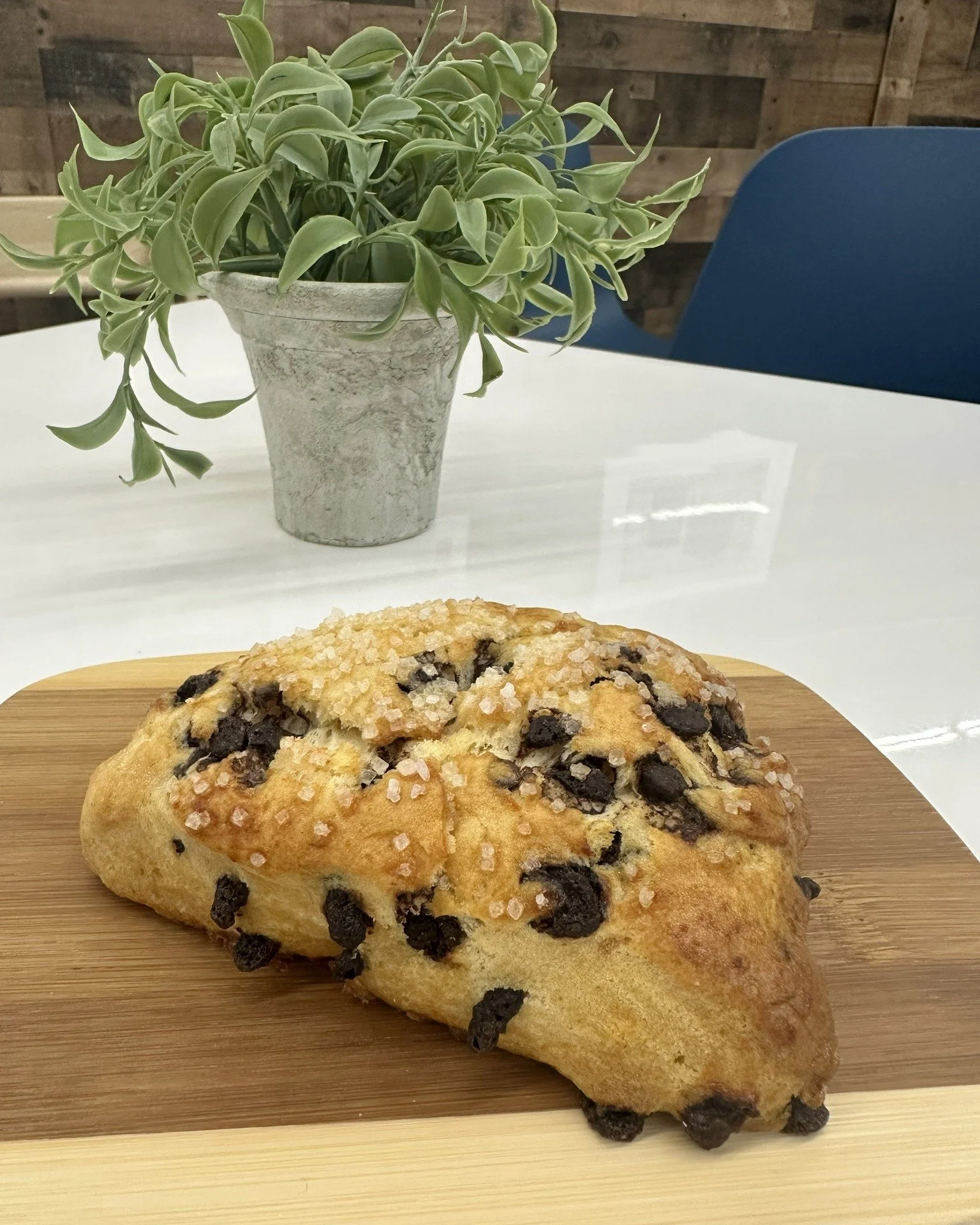 In case no one told you today... you deserve a little sweet treat.

Baked fresh and ready to be enjoyed, Rhonda reccomends our chocolate chip scones for a sweet twist on a scrumptious classic.  And the best part?  It pairs great with rain or sunshine