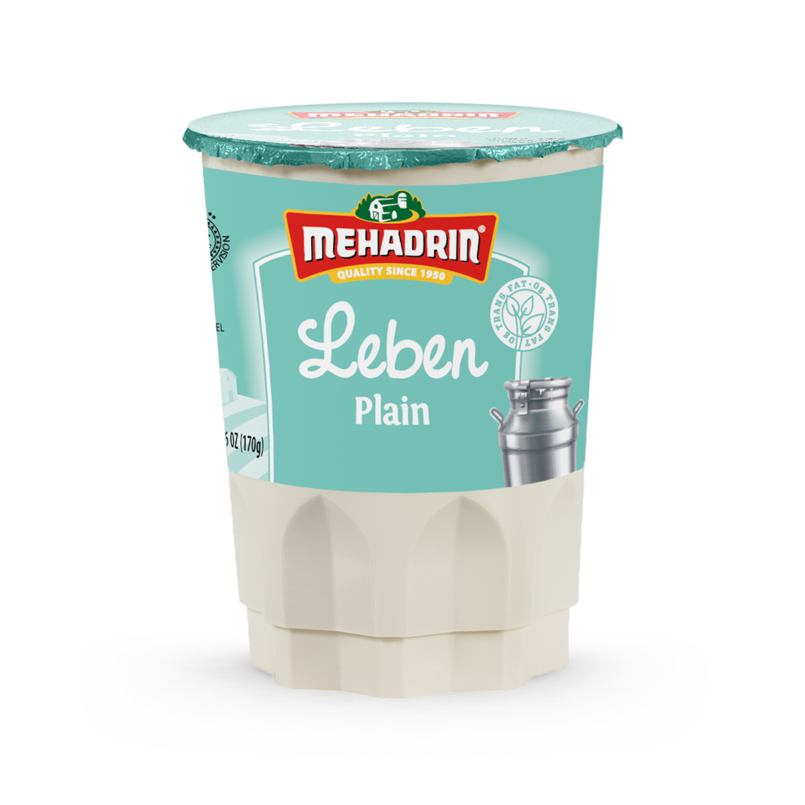 leben-plain-2 (2).png