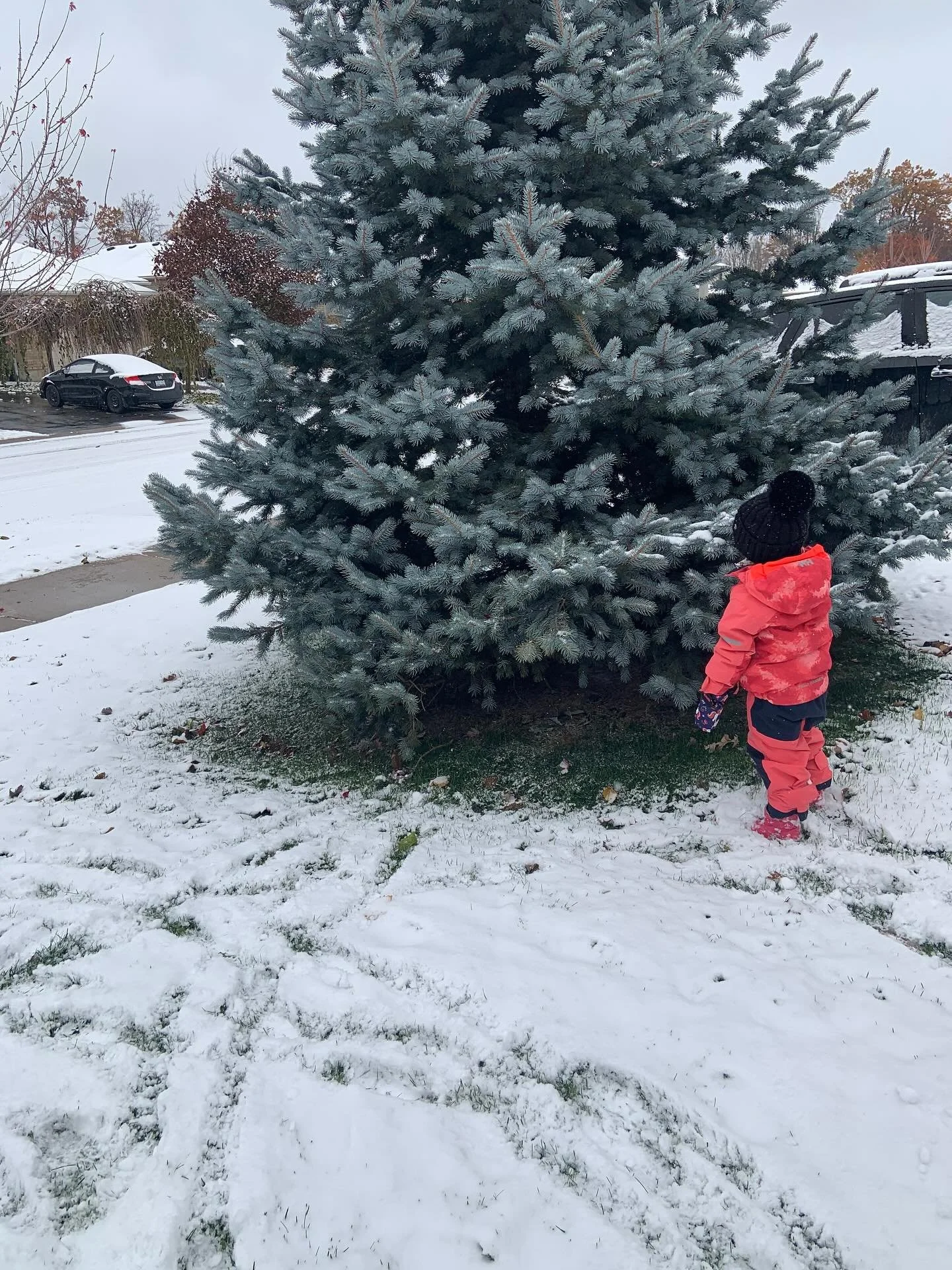 What if everything you truly desire already exists in this very moment?

I had heard similar statements for many years, and although I could see parts of what I was deeply desiring alive in my current life, overall there was a disconnect. 

And then 