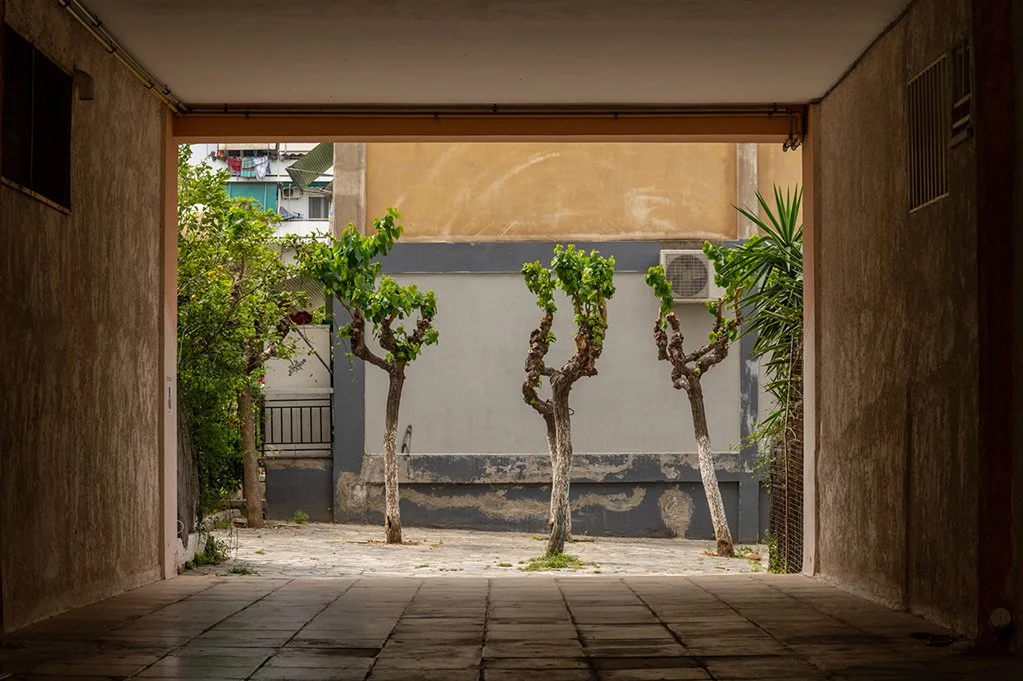 14_TSIAGAS PROSFYGIKA.jpg