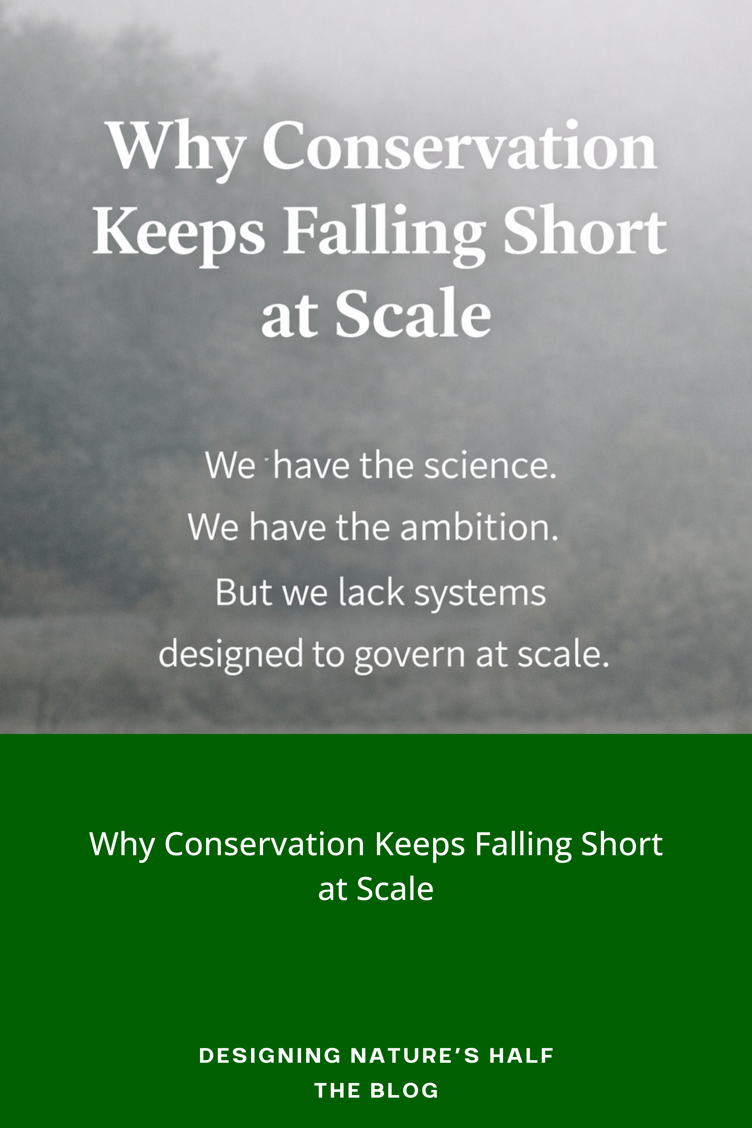 Why Conservation Keeps Falling Short at Scale