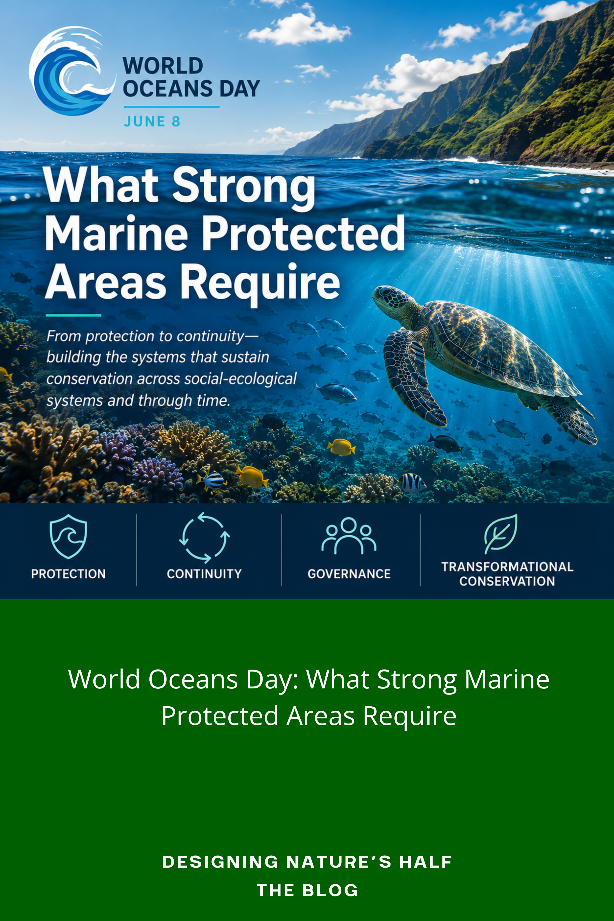 World Oceans Day: What Strong Marine Protected Areas Require