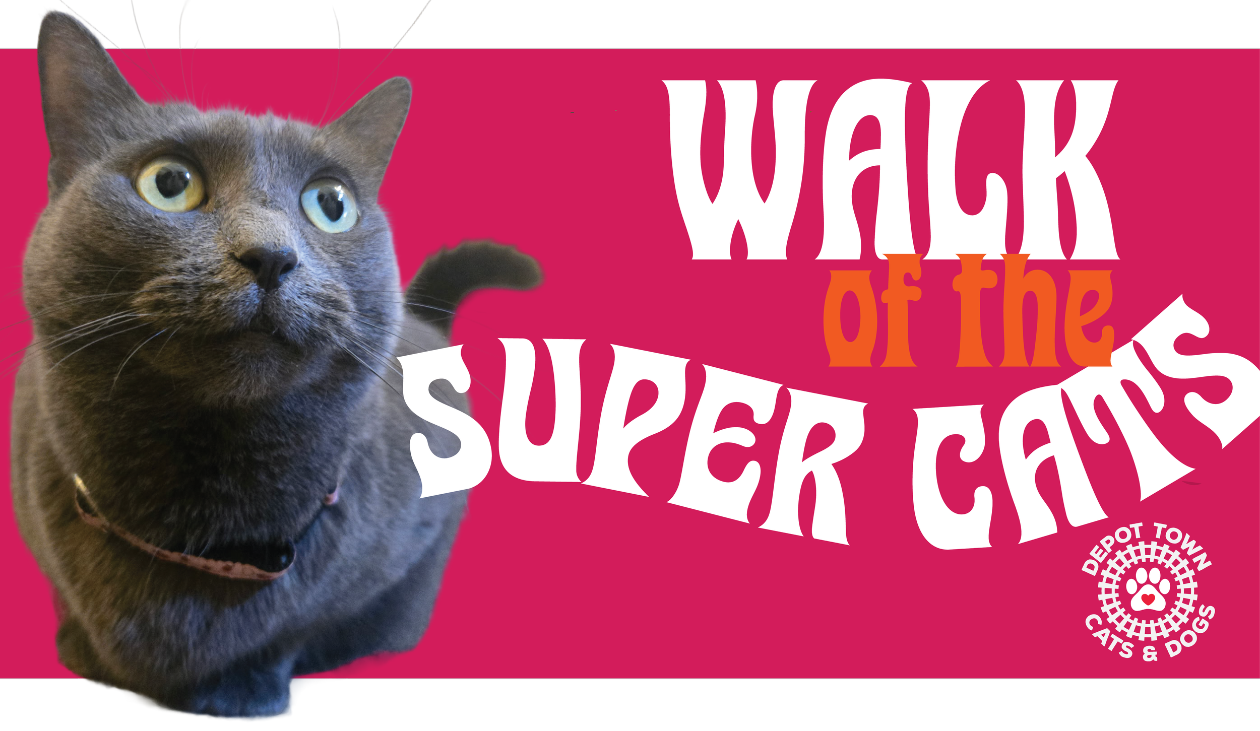 Walk of the Super Cats Cat Crawl