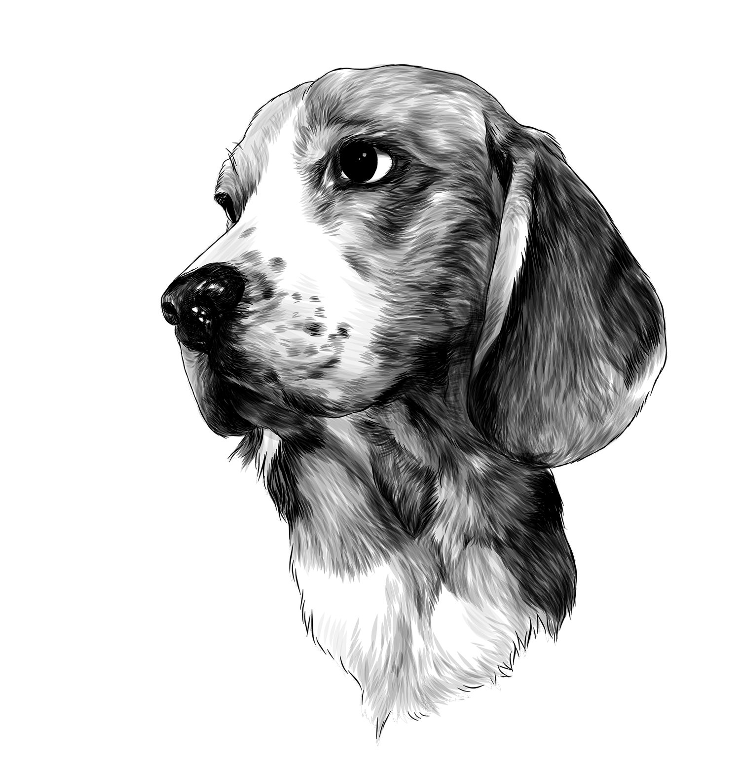 Depot Town Cats Dogs INDIE PET SUPPLY depot-town-cats-dogs-indie-pet-supply