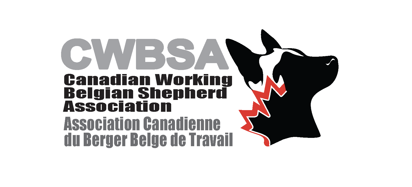 Logo of the Canadian Working Belgian Shepherd Association featuring a black and white Belgian Shepherd dog's head and red lightning bolt, with text in English and French.