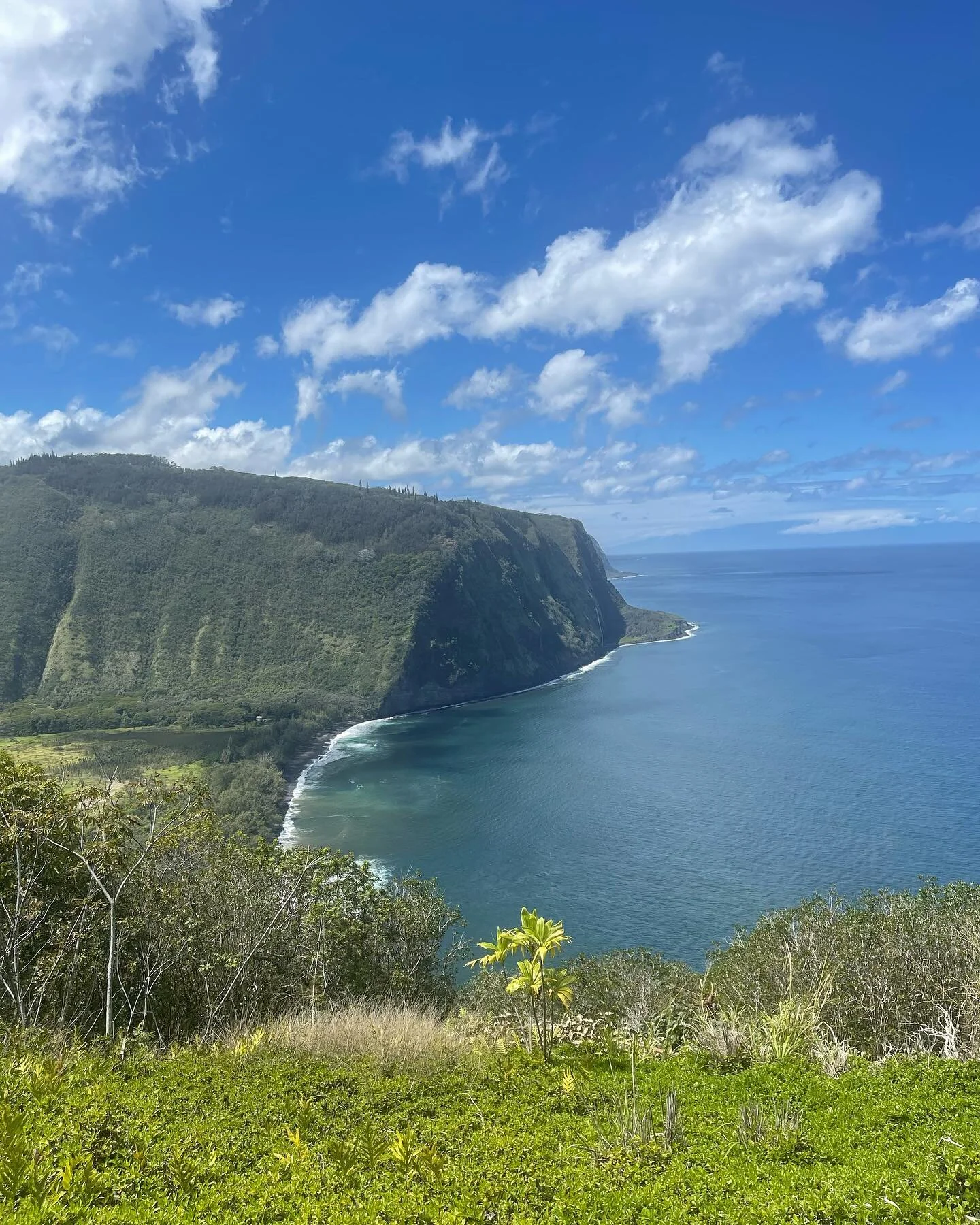 Waipio valley 💙

&bull;
&bull;
&bull;
&bull;
&bull;

#waipiovalley #bigisland #instatravel